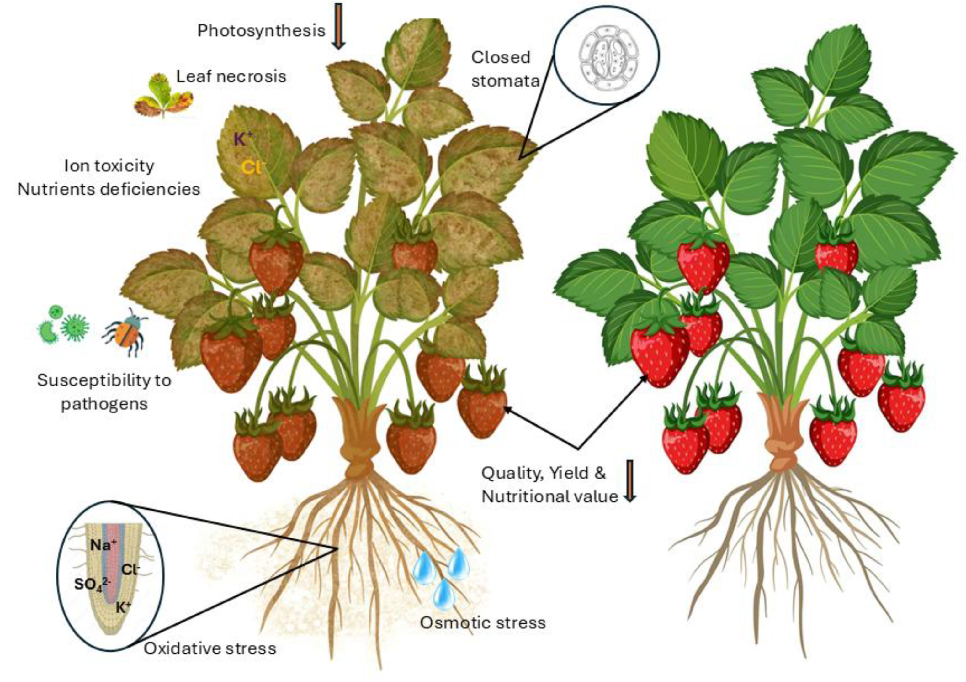 Preprints 190131 g002