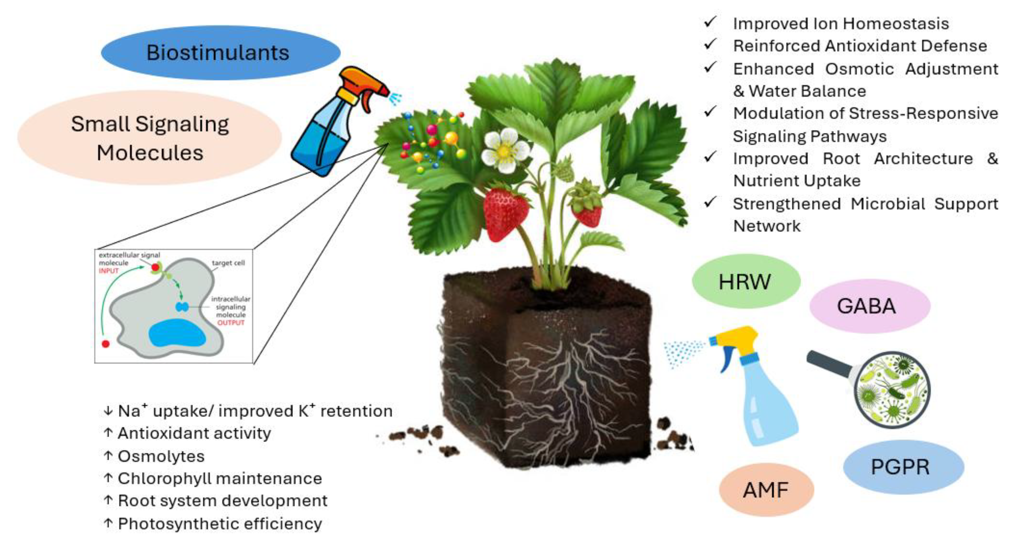 Preprints 190131 g003
