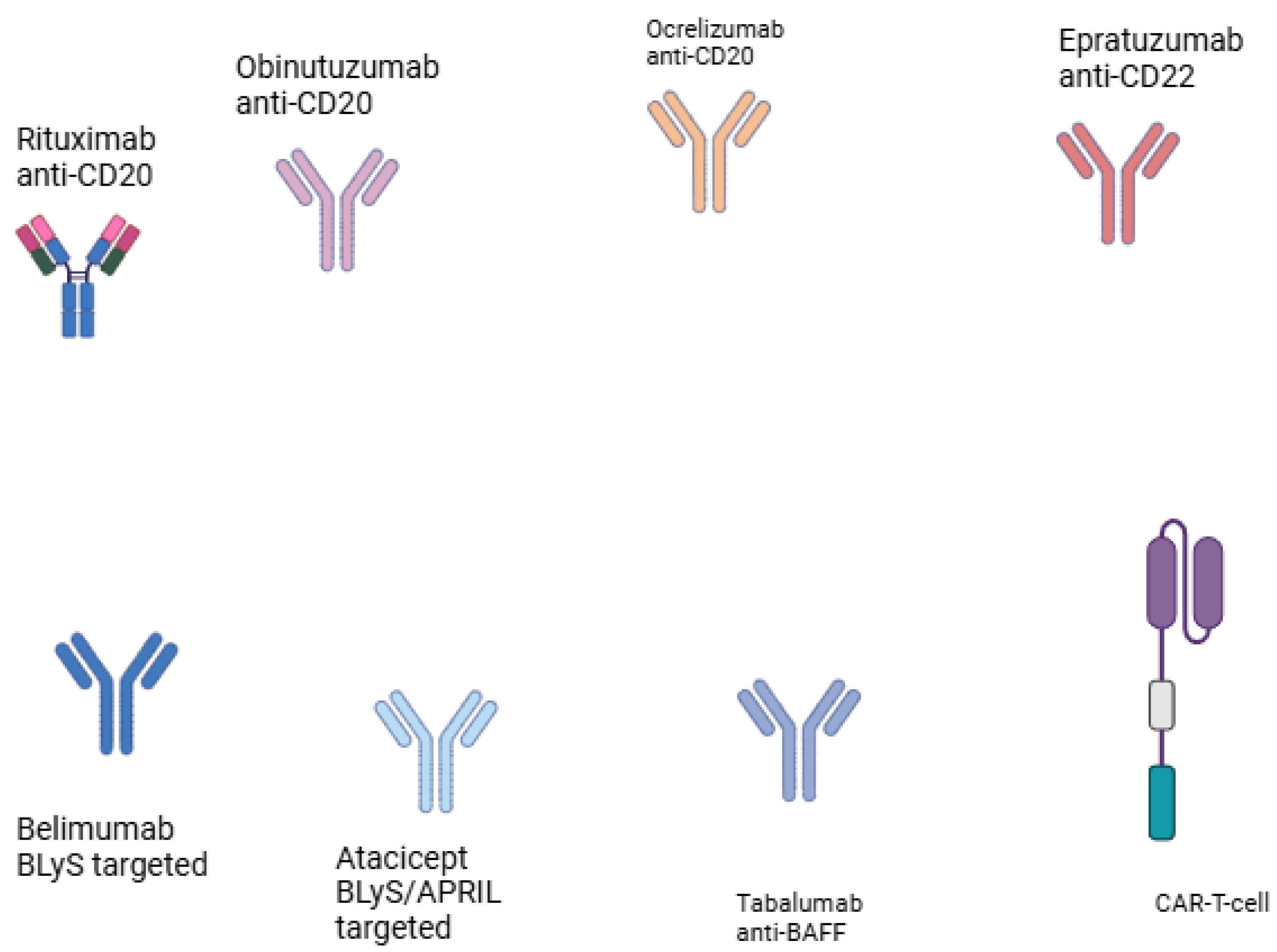 Preprints 143856 g002