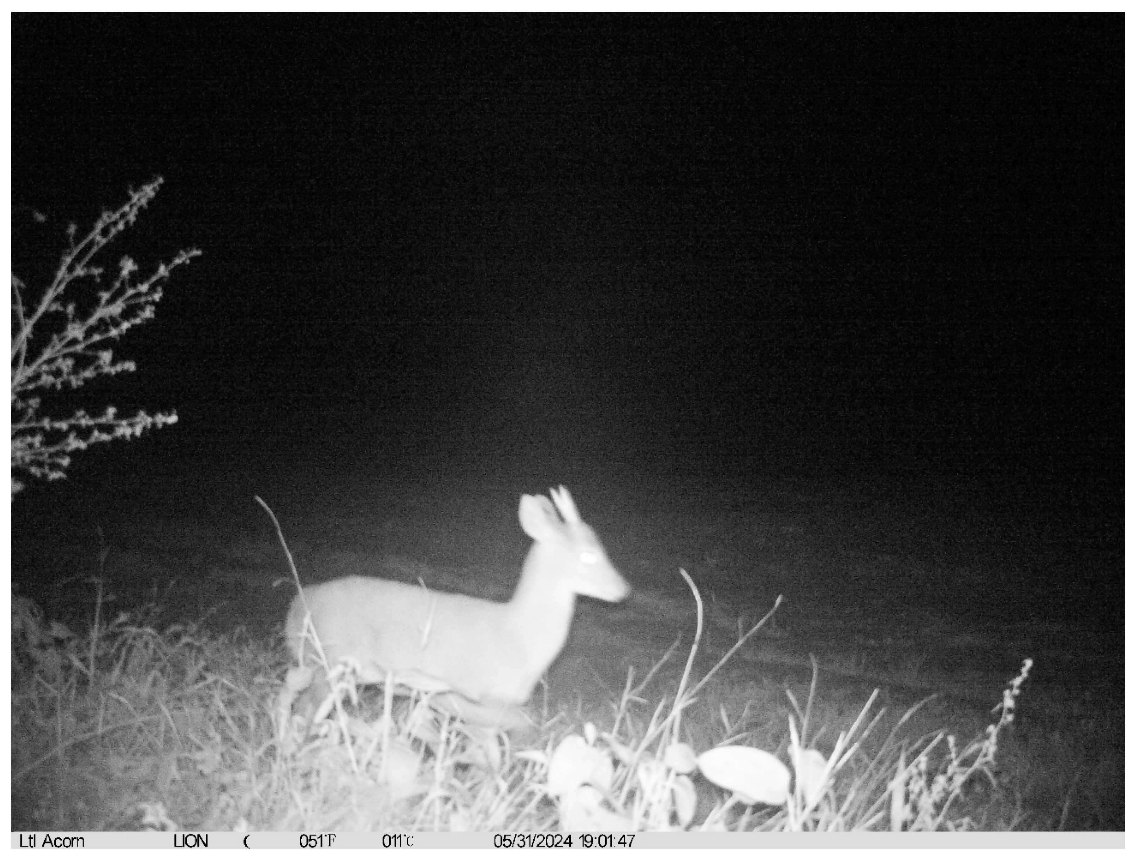 Preprints 201865 g003