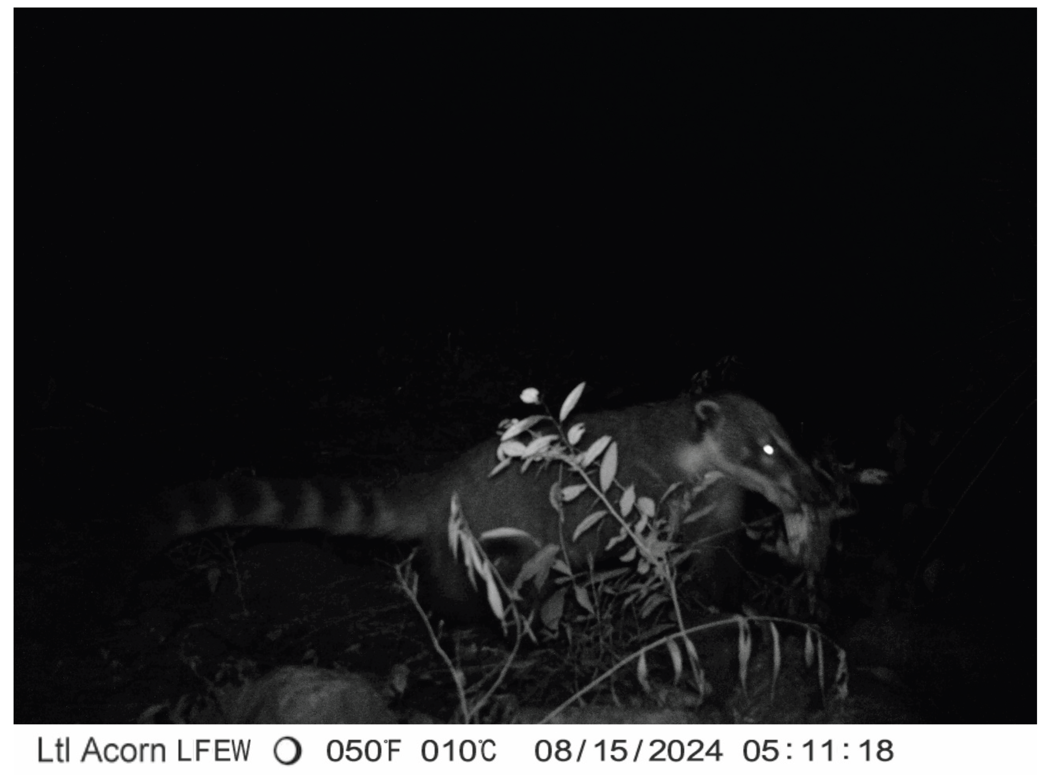 Preprints 201865 g004