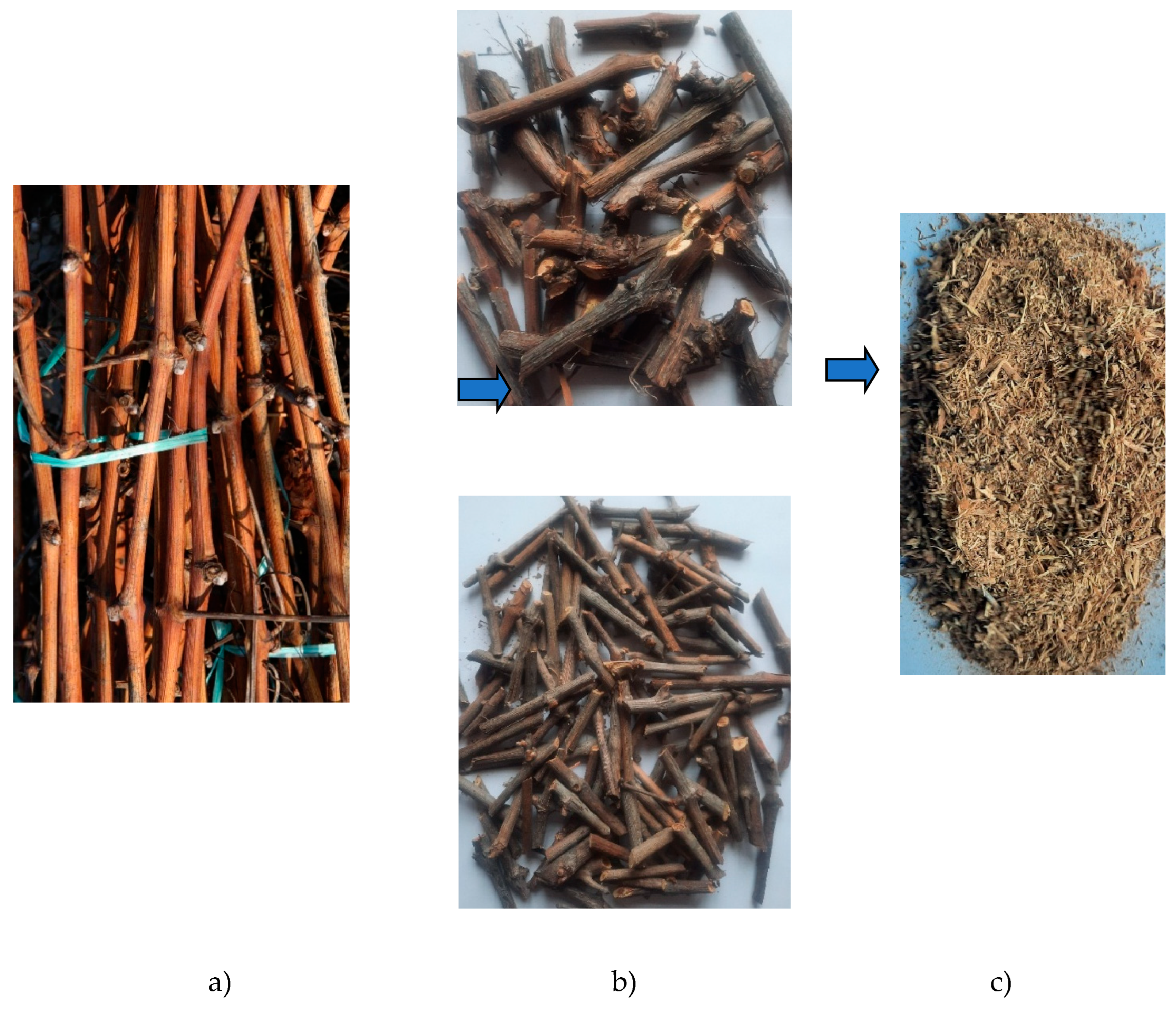 Preprints 142630 g003