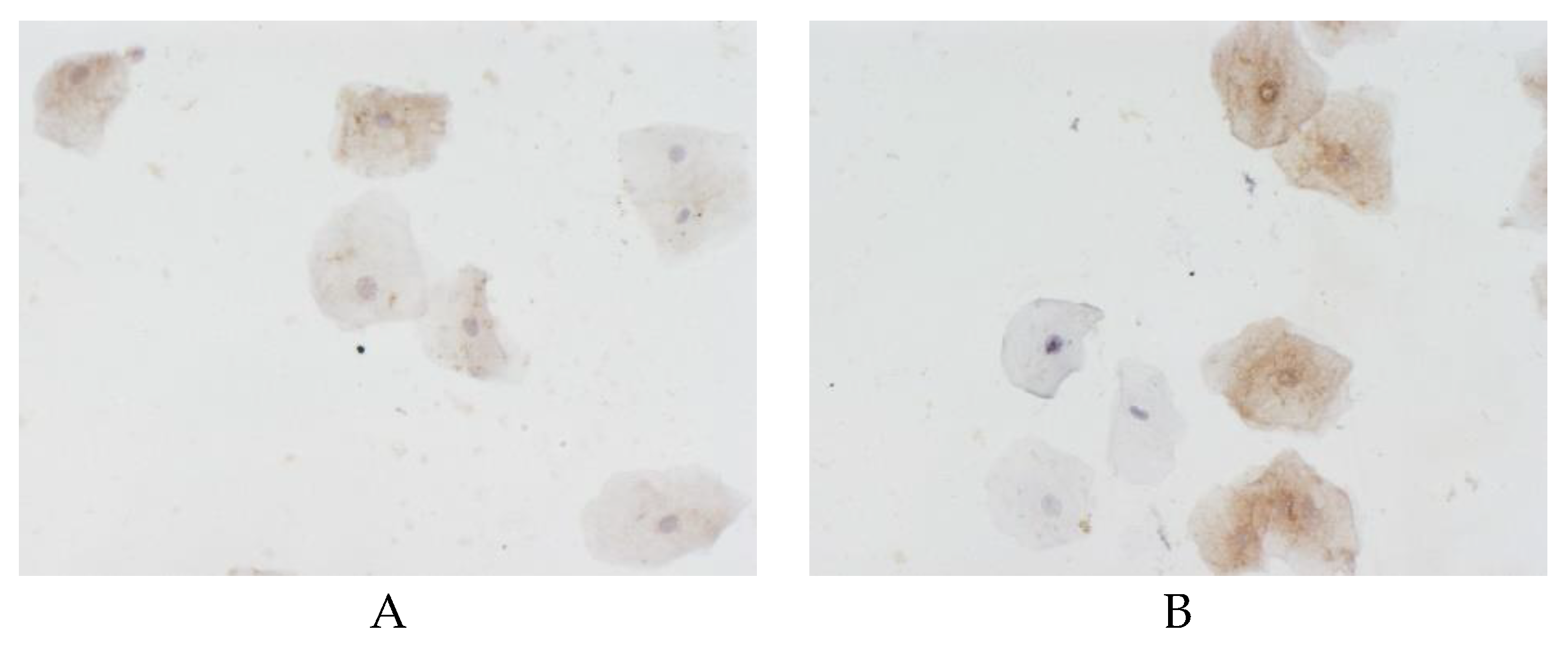 Preprints 182511 g002