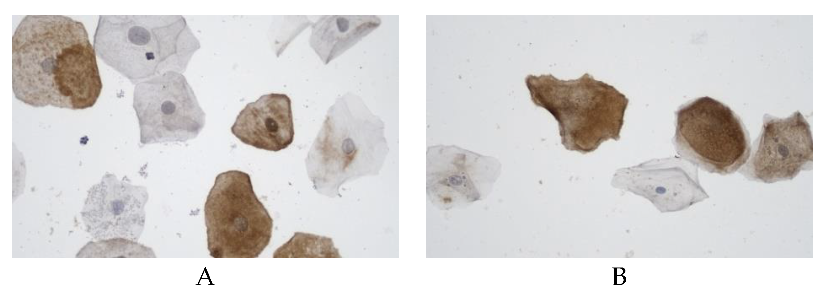 Preprints 182511 g003