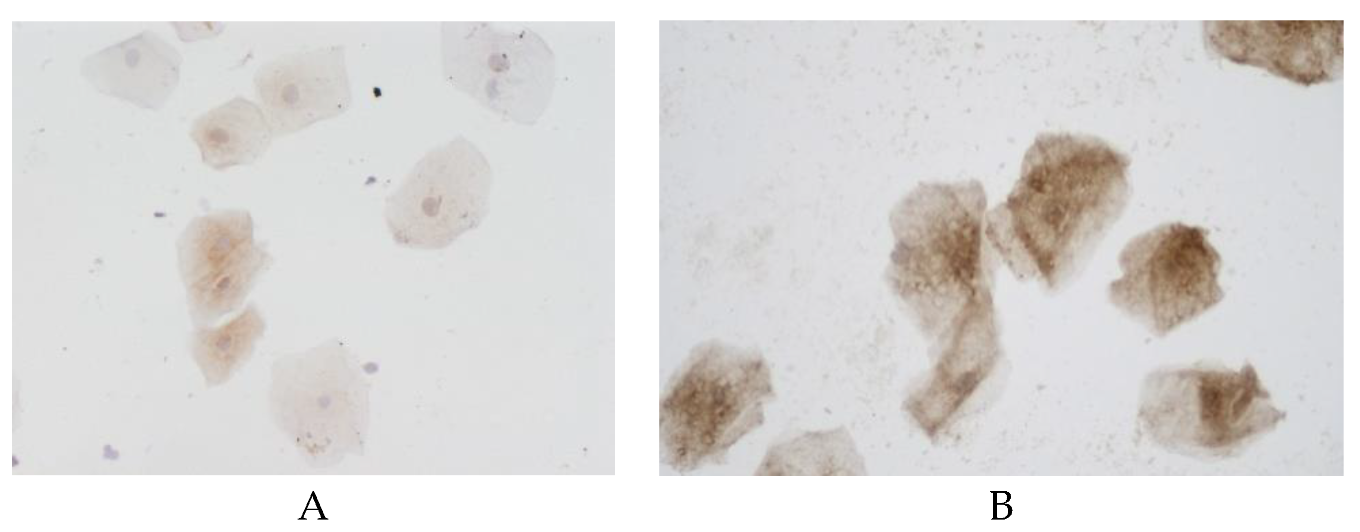 Preprints 182511 g004