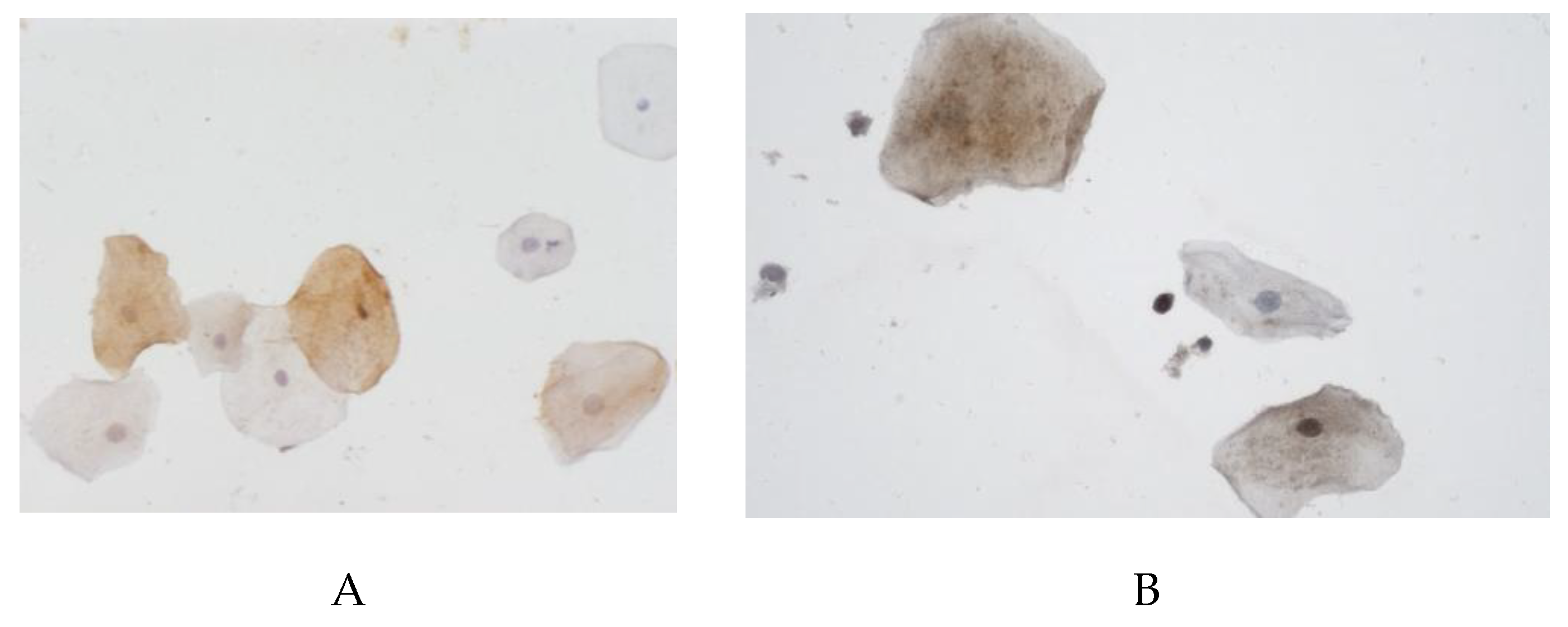 Preprints 182511 g006