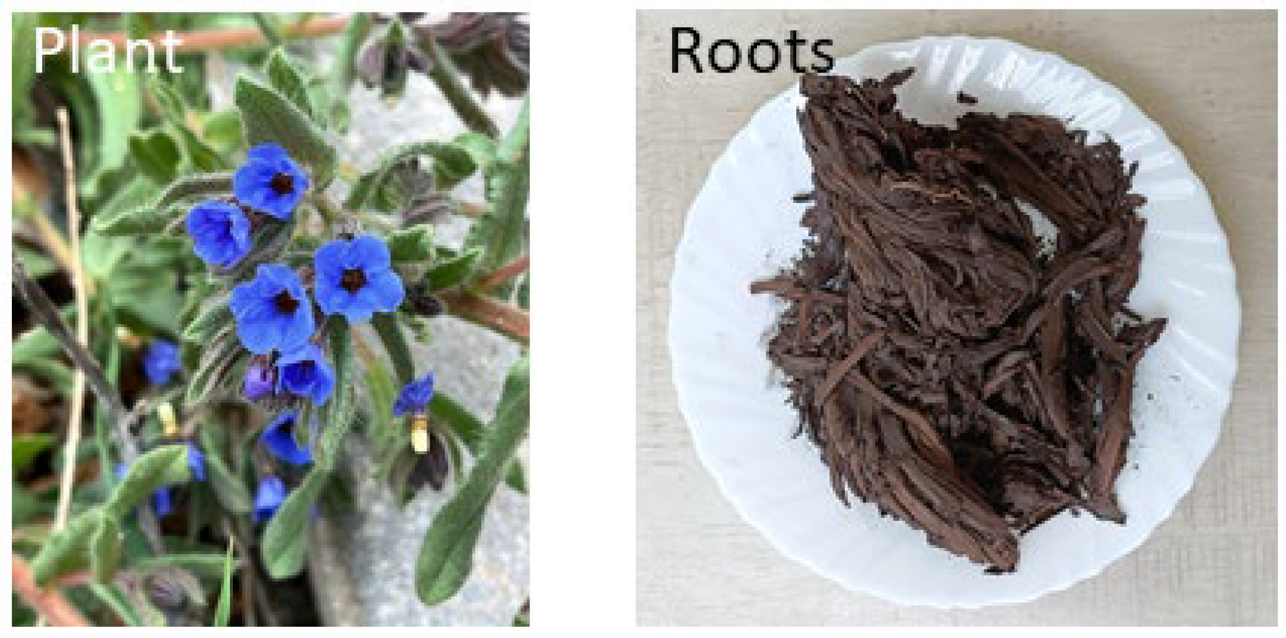 Preprints 109936 g001