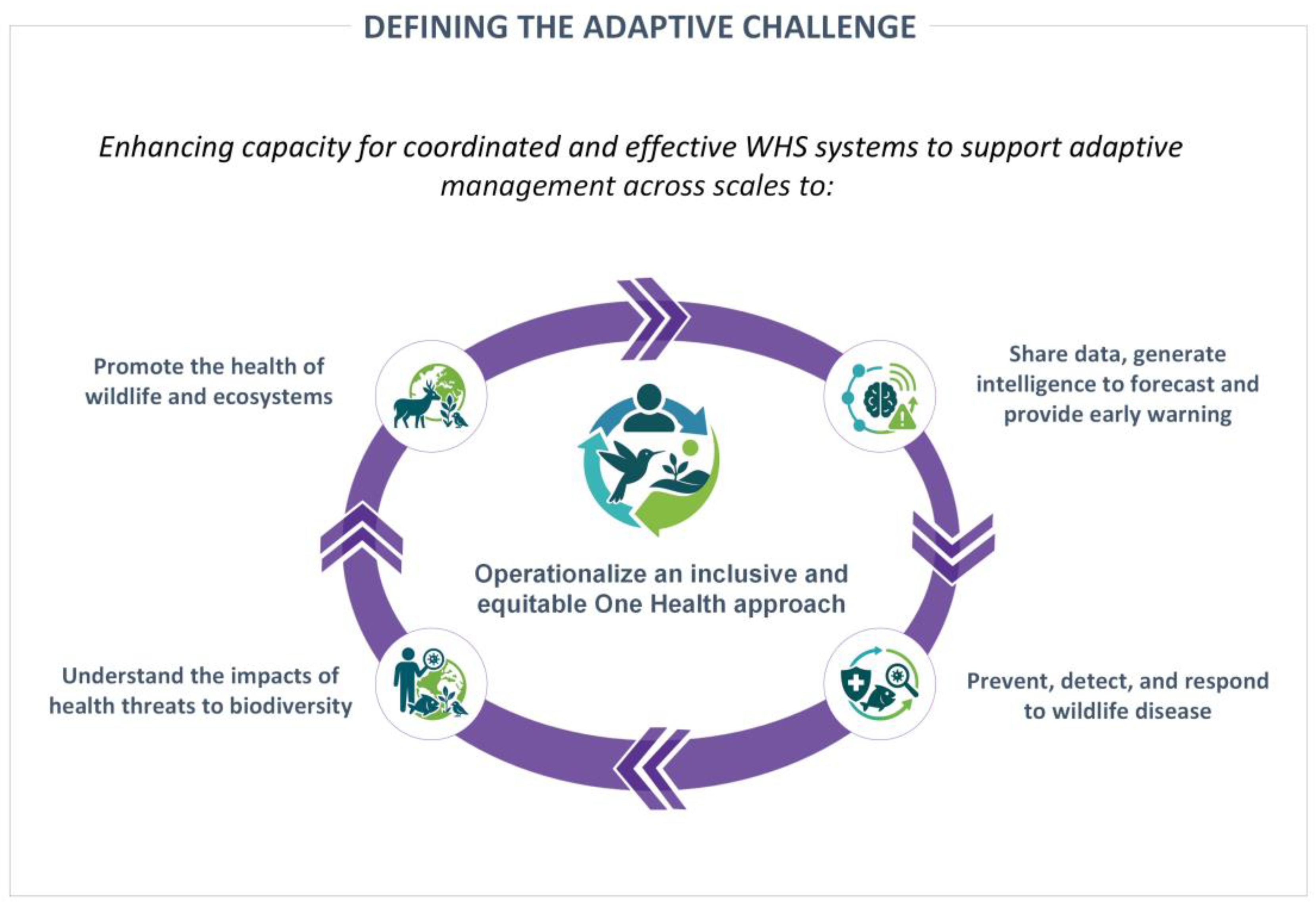 Preprints 190053 g003