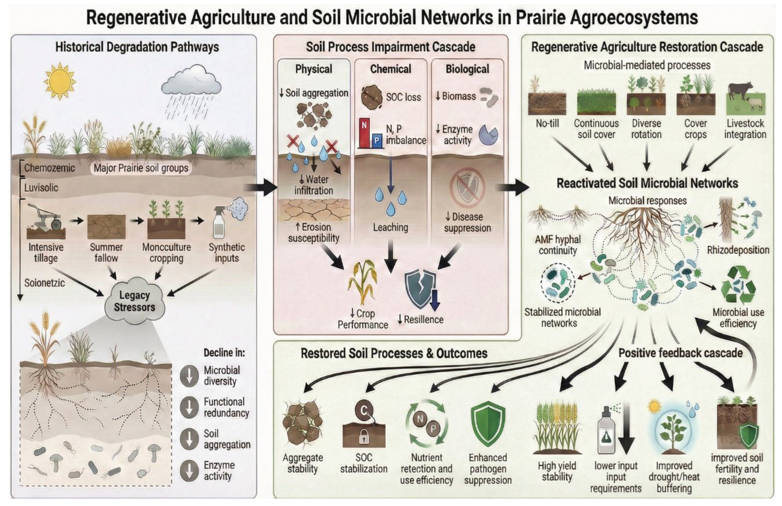 Preprints 200863 g001