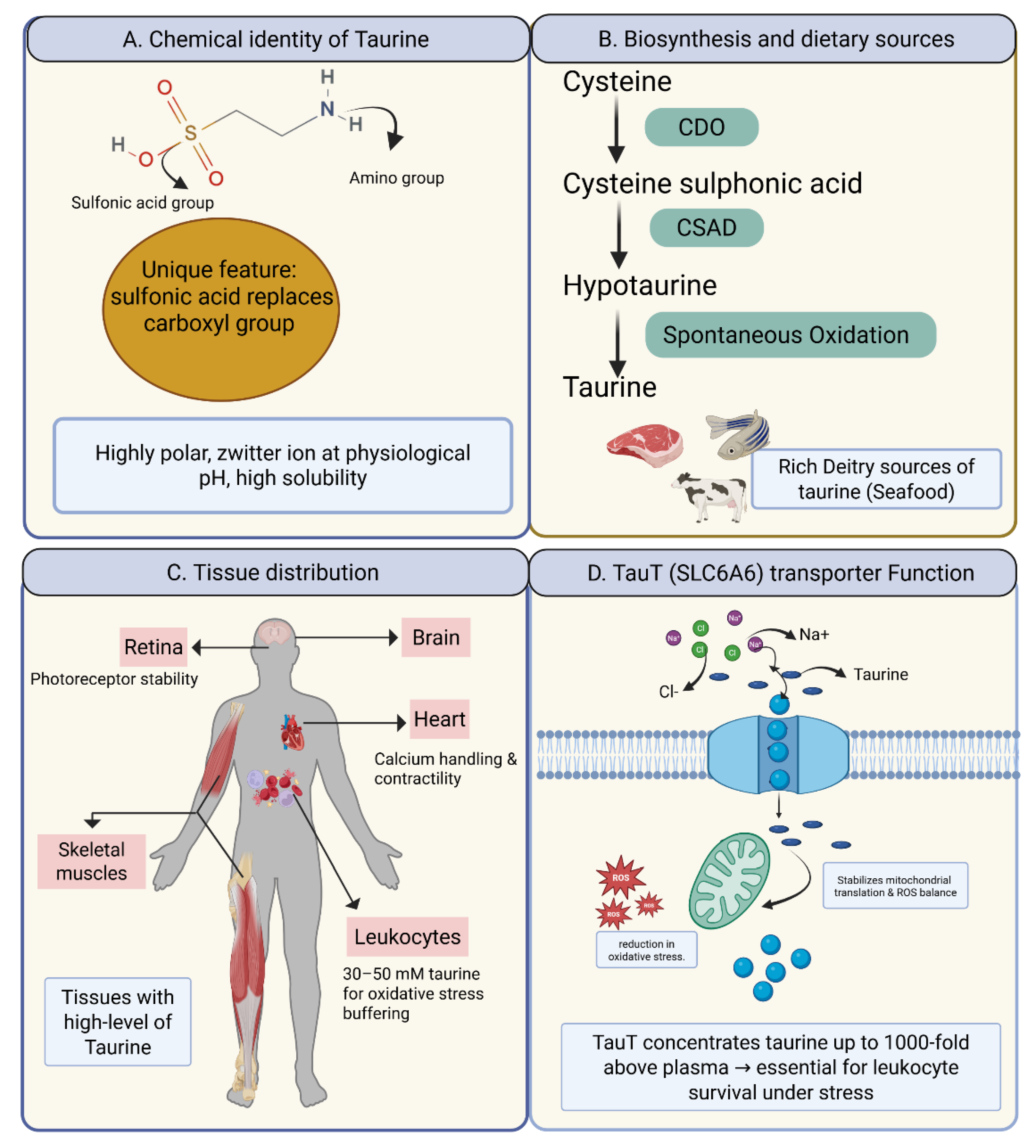Preprints 181302 g001