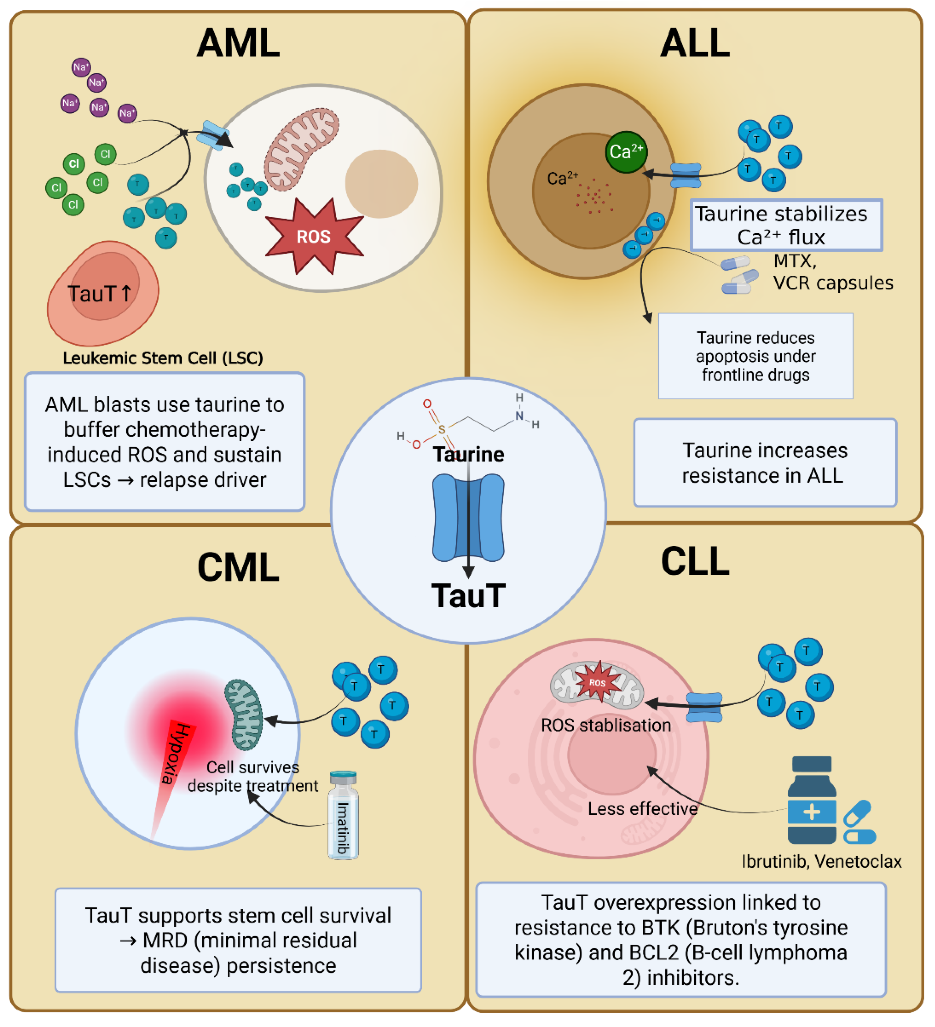 Preprints 181302 g002