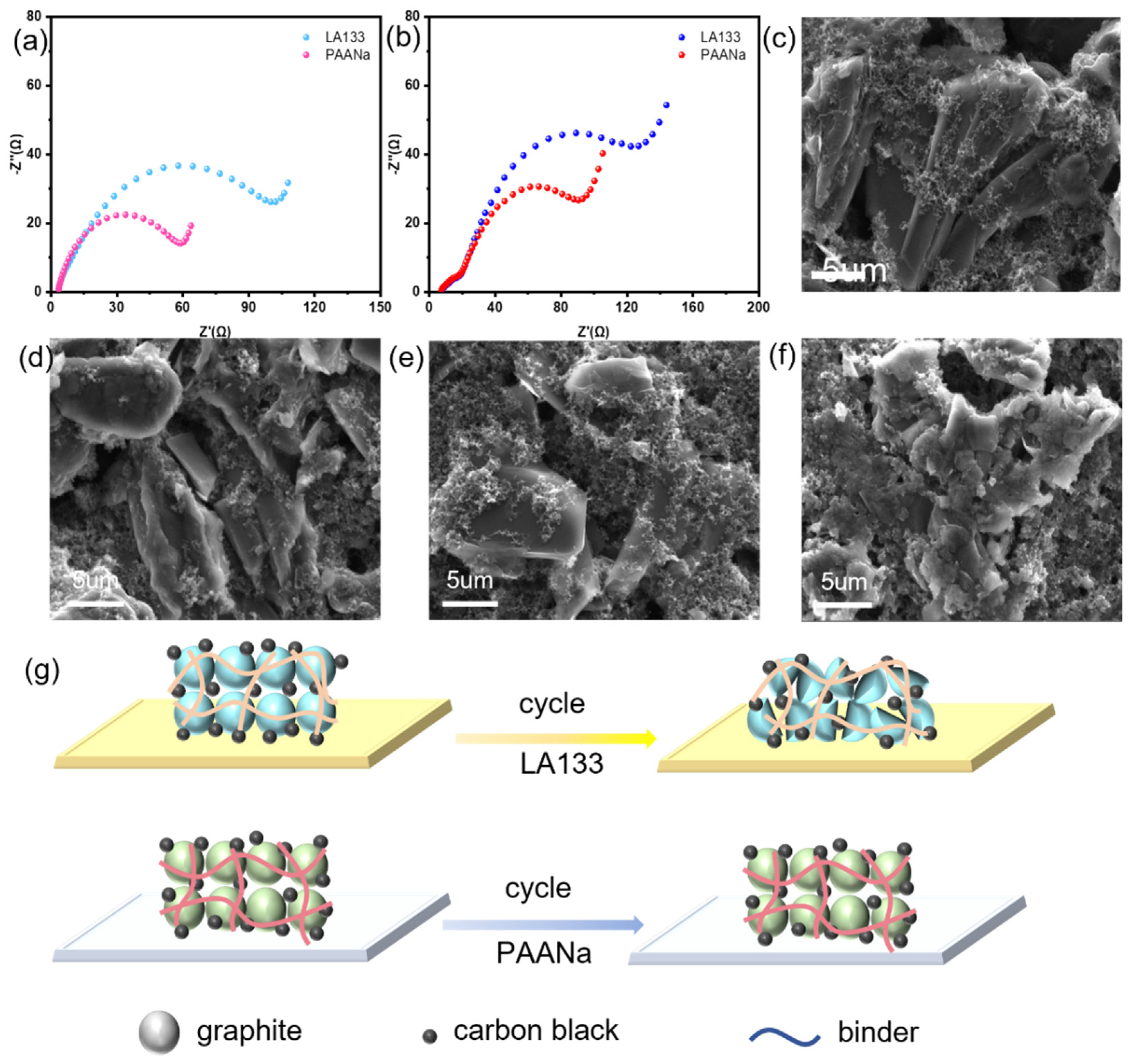 Preprints 144181 g003