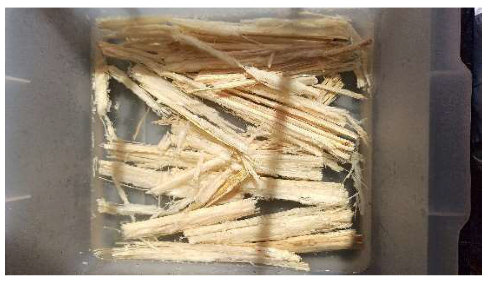 Preprints 144737 g001