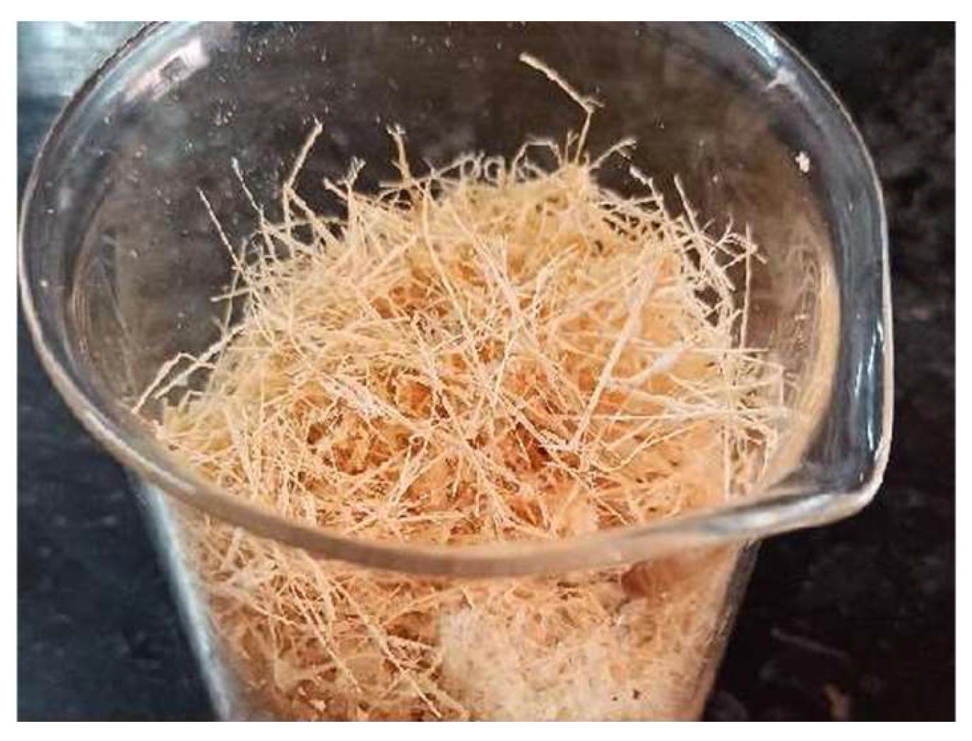 Preprints 144737 g004