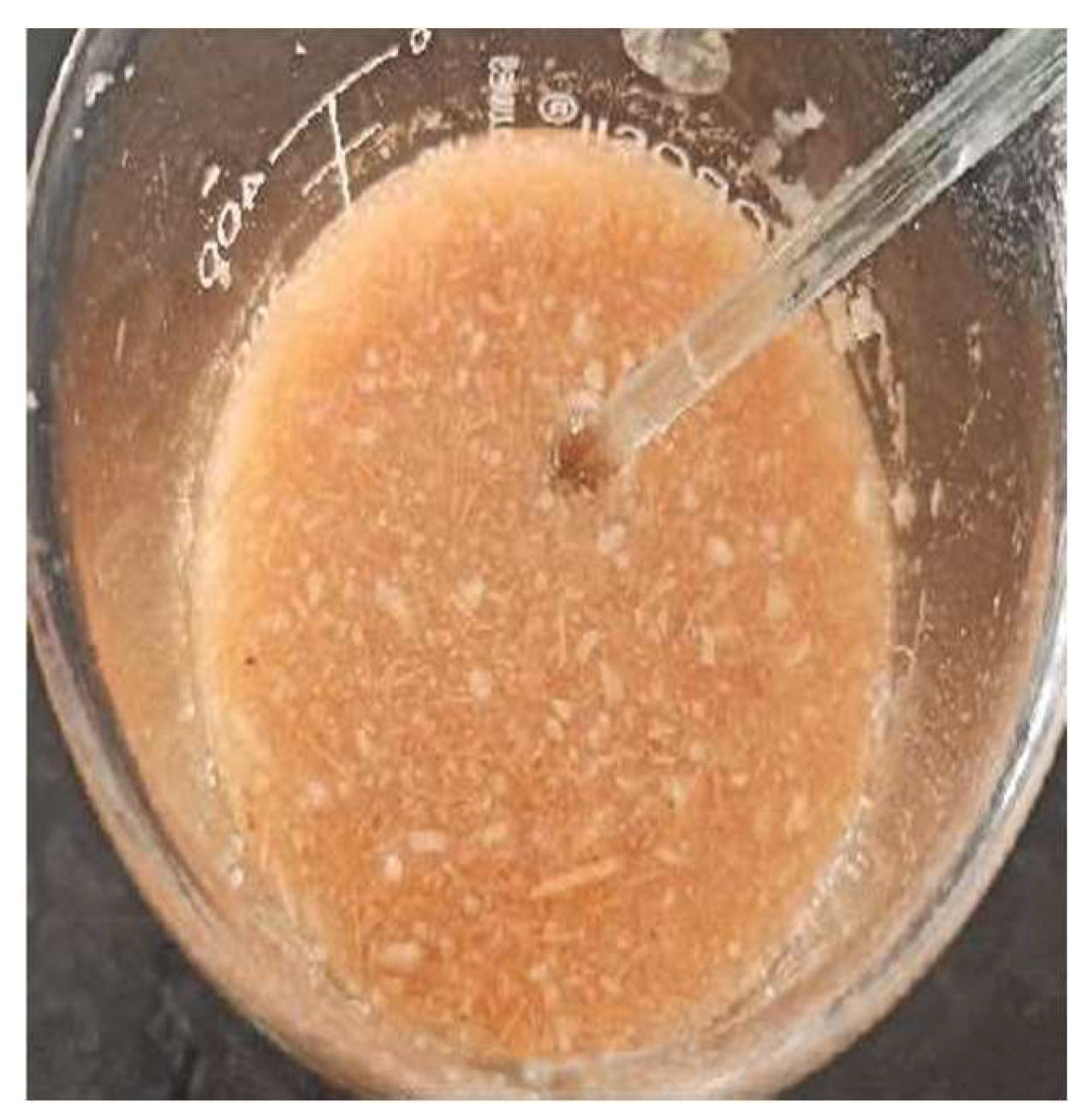 Preprints 144737 g005