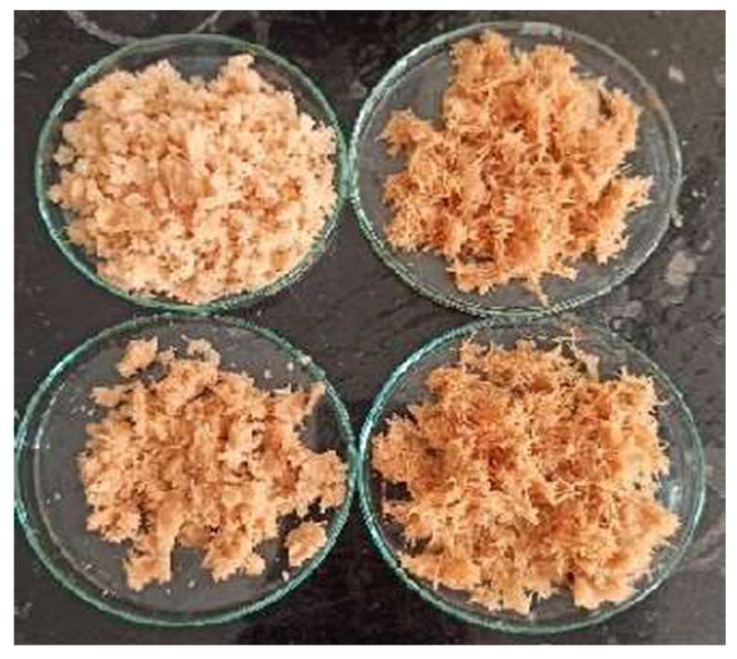 Preprints 144737 g006