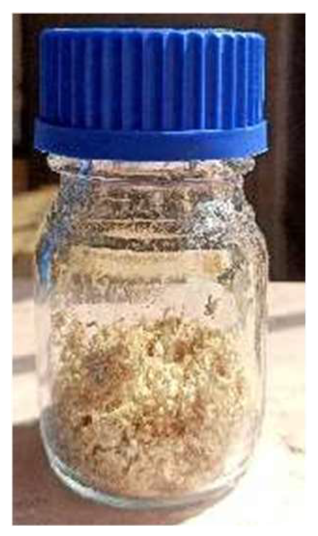 Preprints 144737 g009