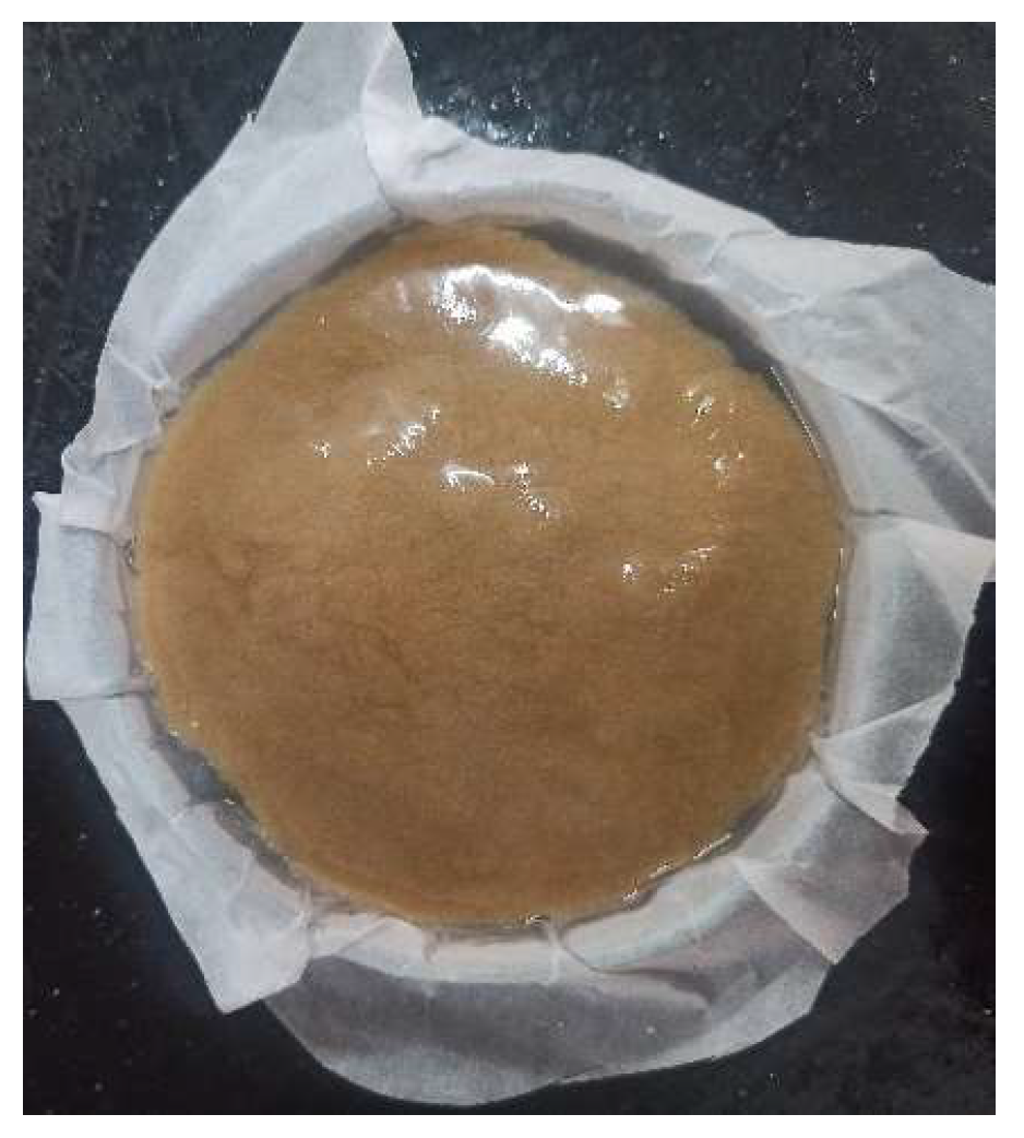 Preprints 144737 g010