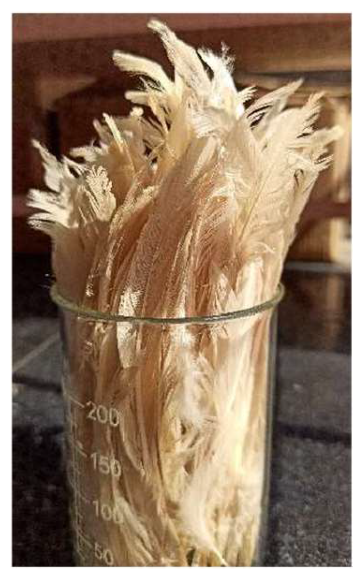 Preprints 144737 g011