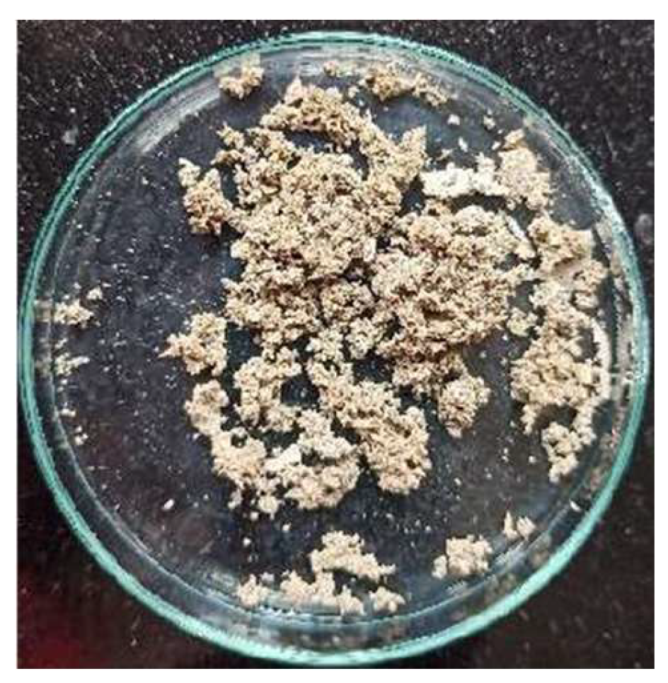 Preprints 144737 g013