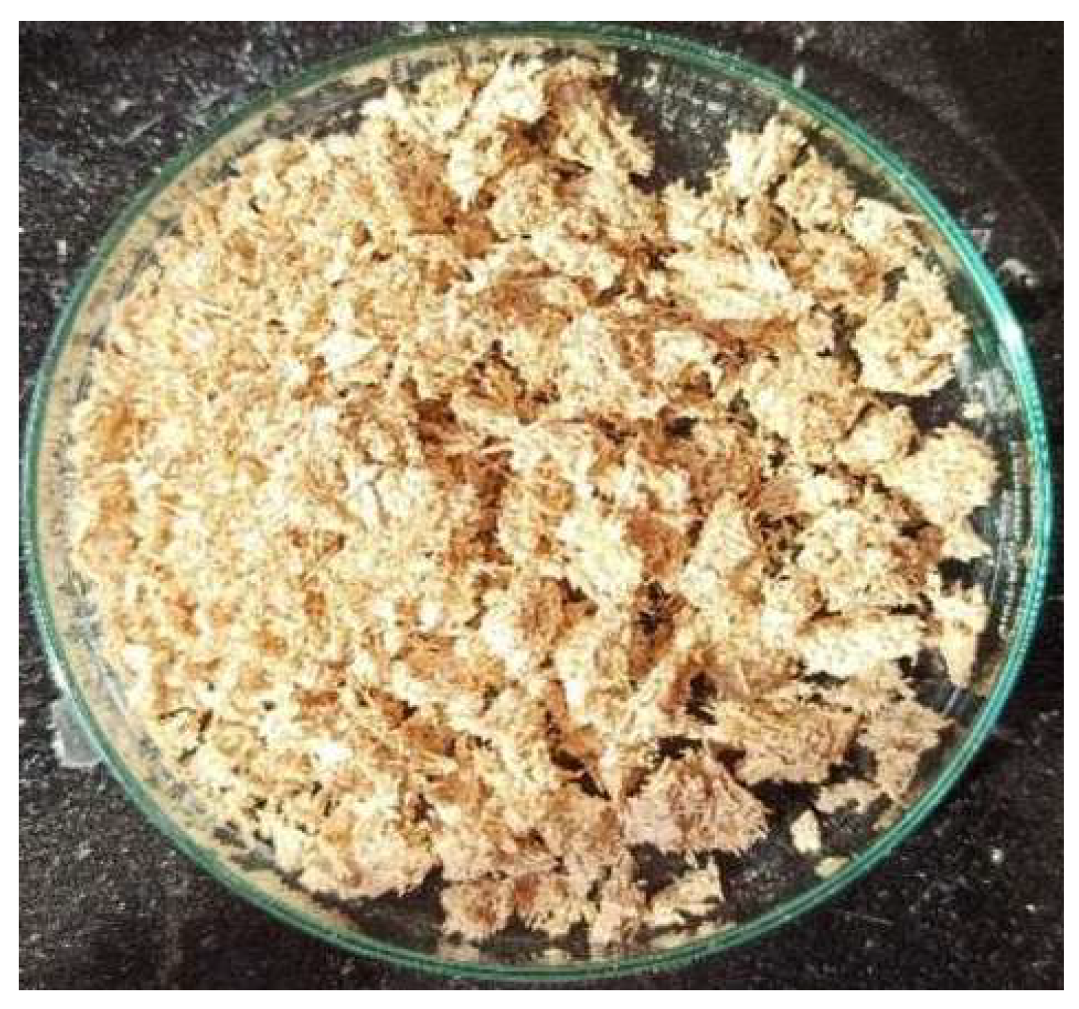 Preprints 144737 g016