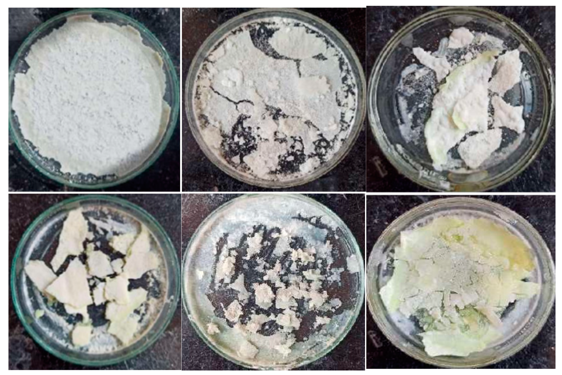 Preprints 144737 g019