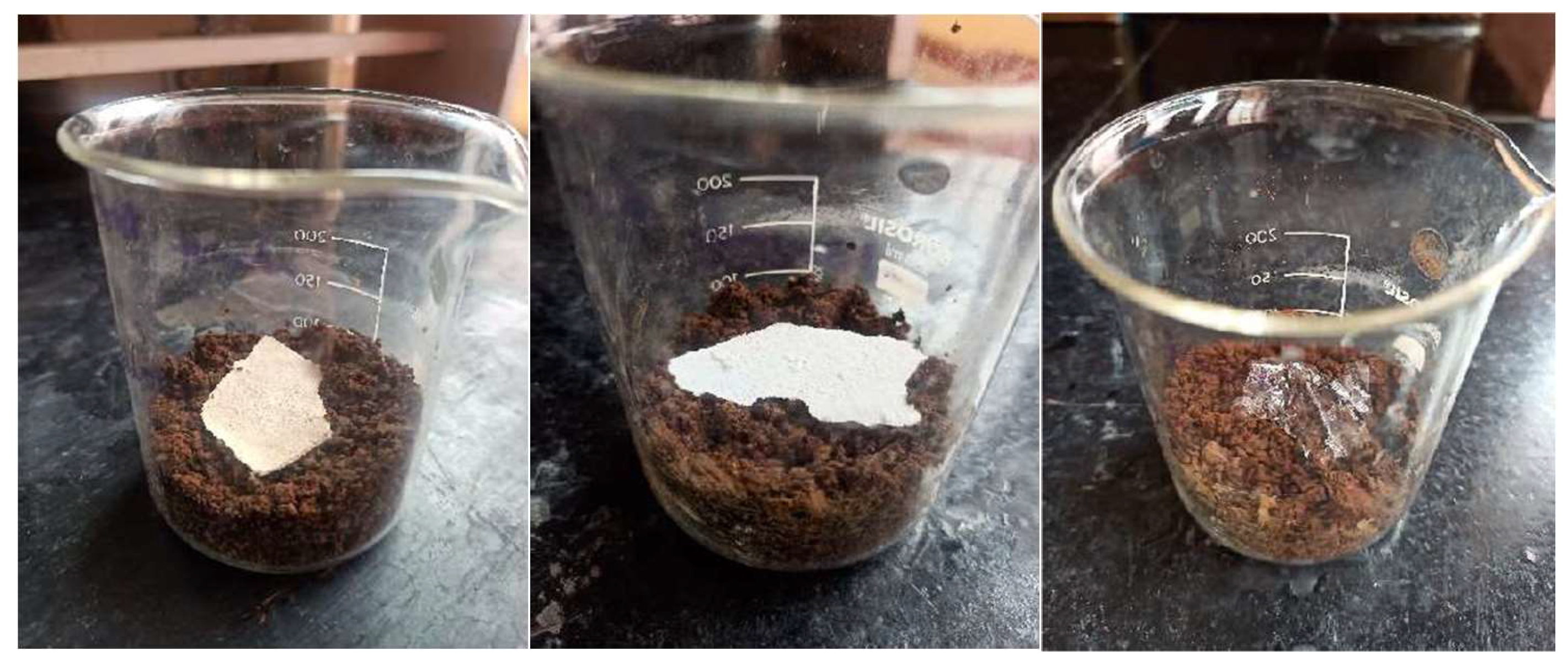 Preprints 144737 g022