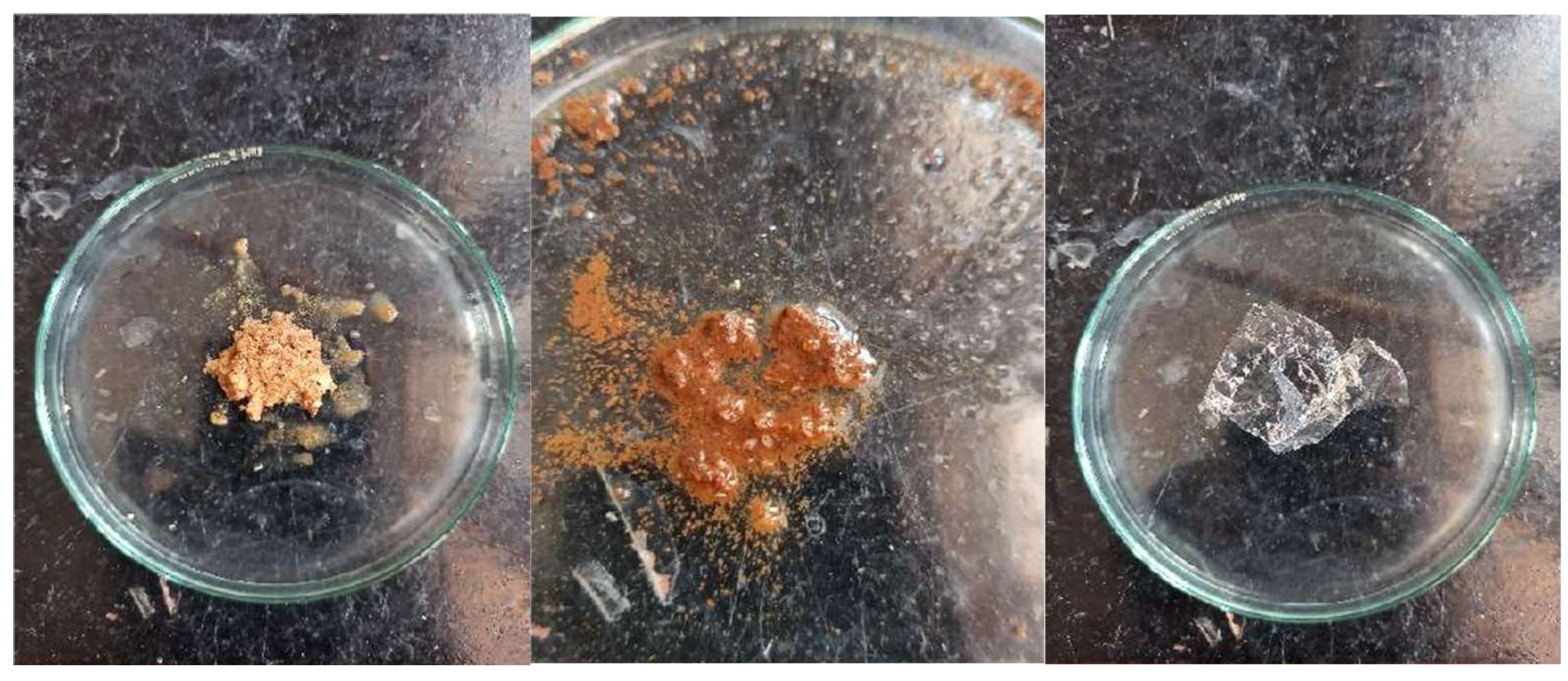 Preprints 144737 g023