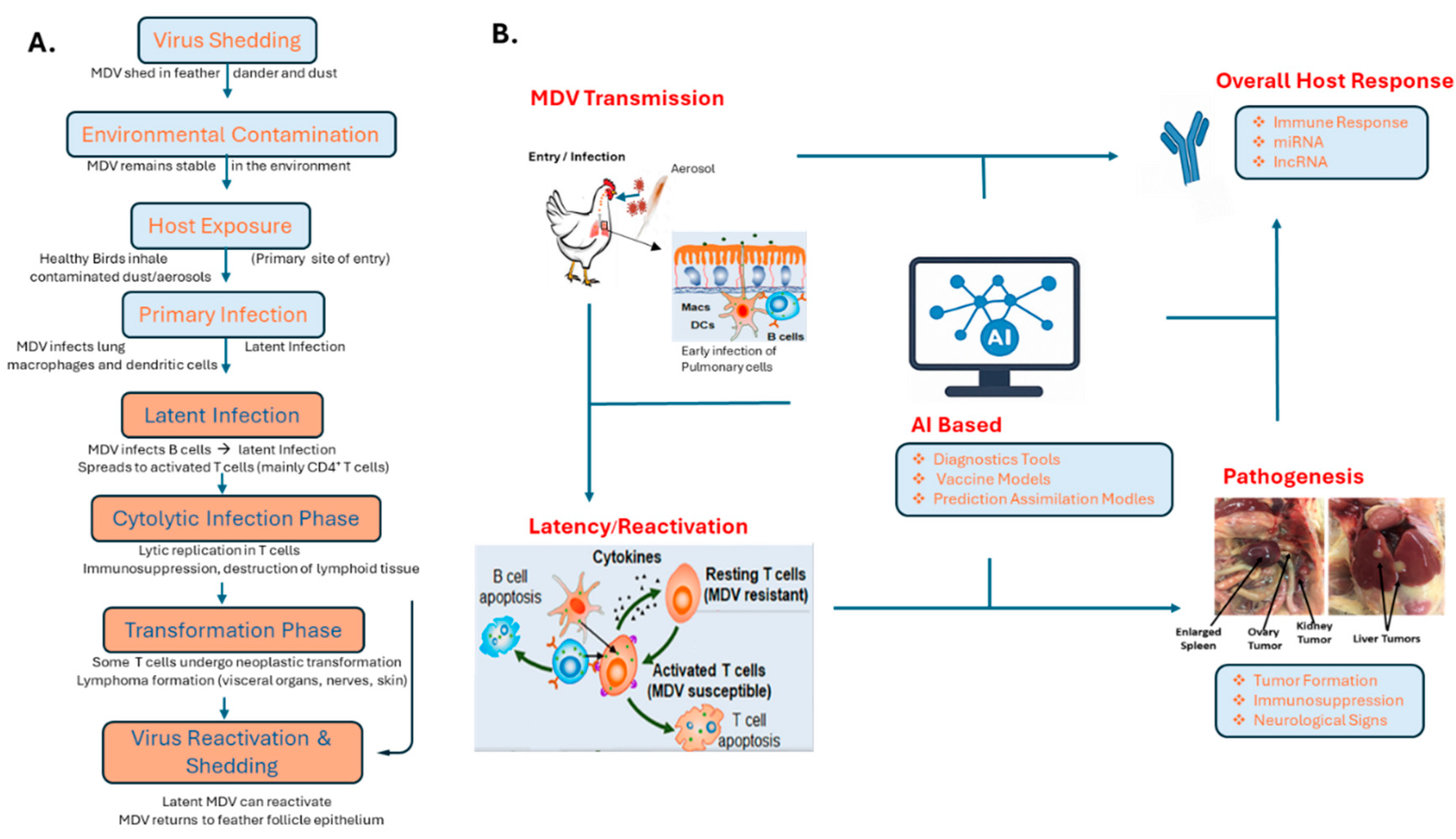 Preprints 169291 g001