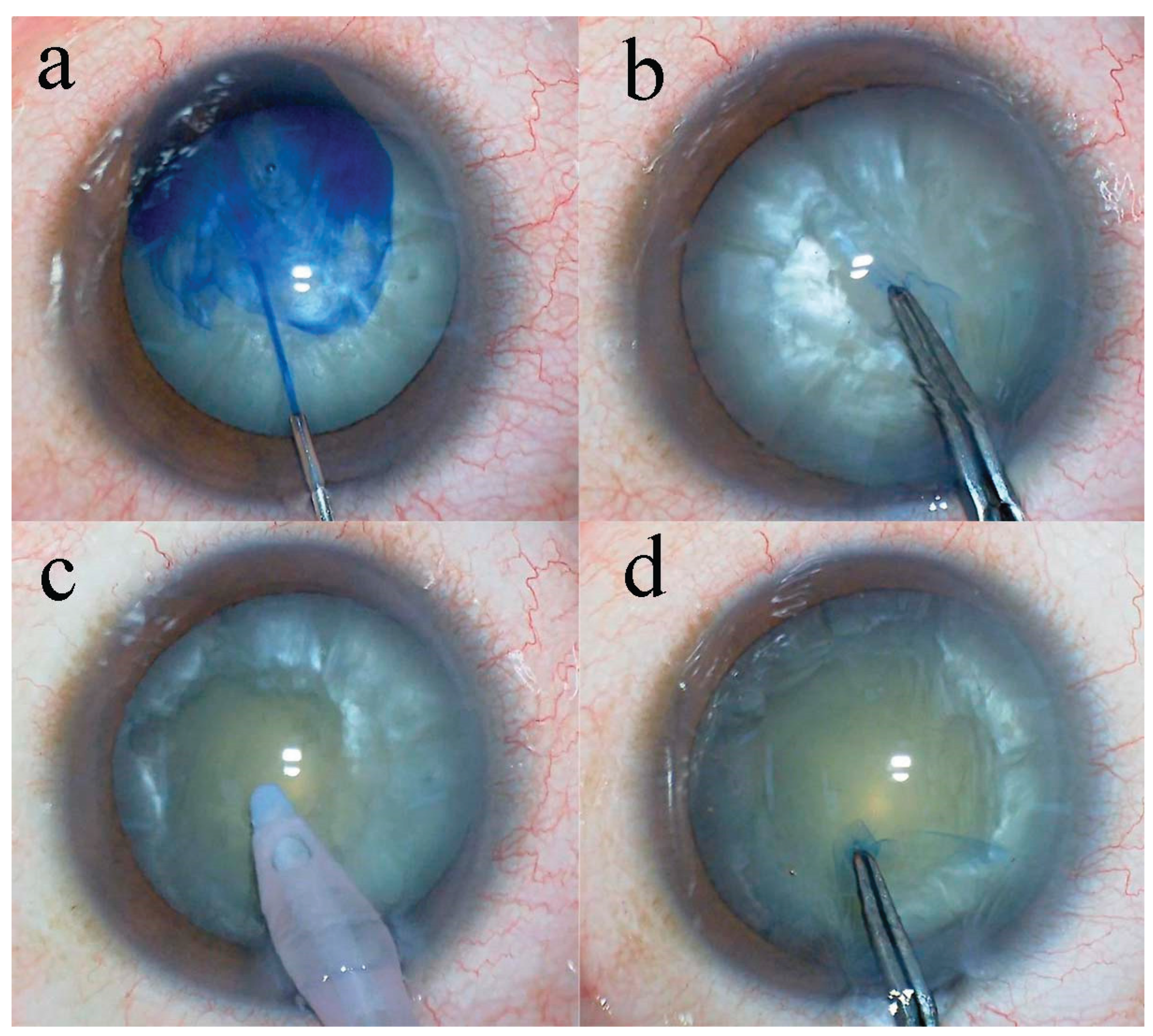 Preprints 189931 g001