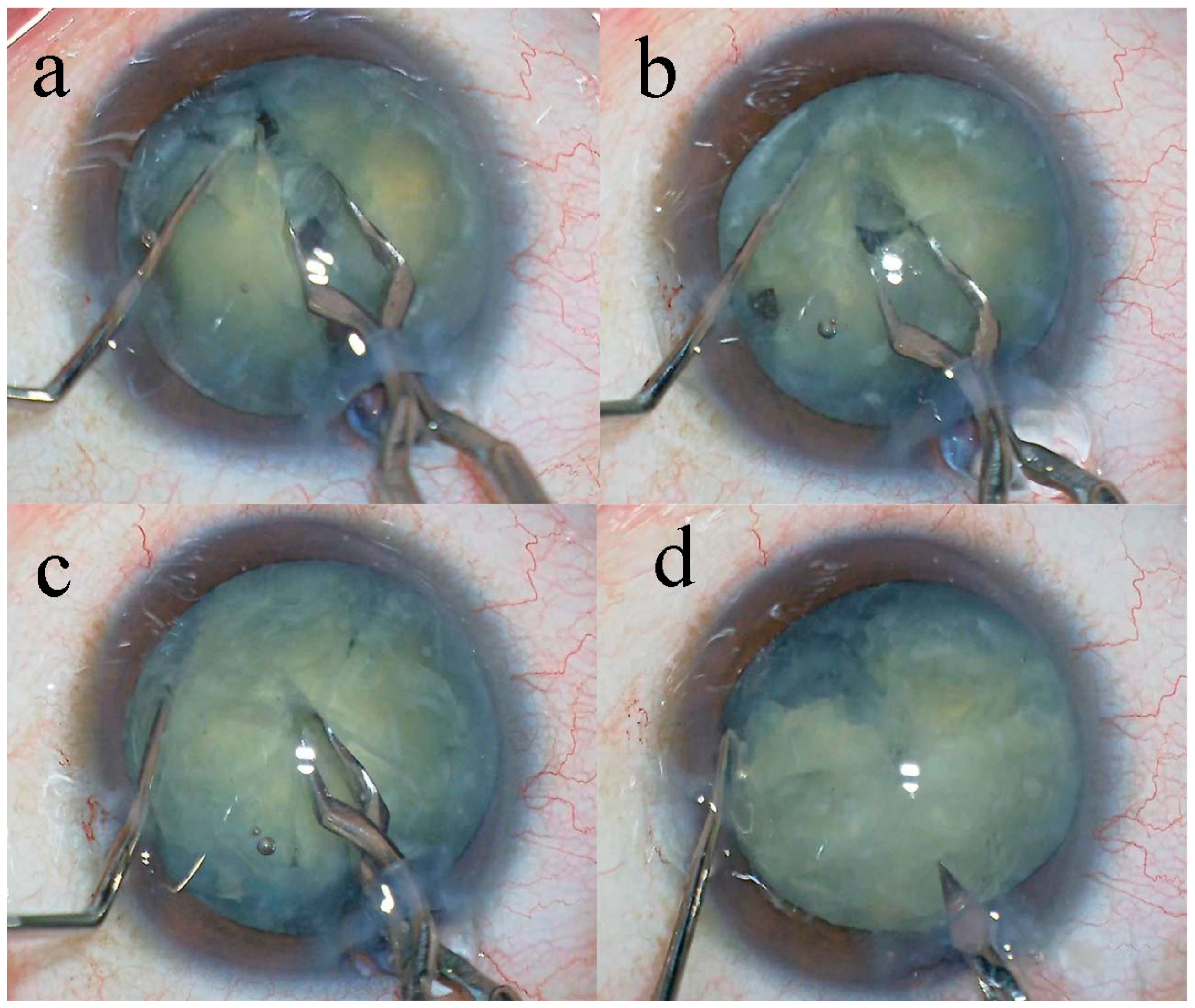 Preprints 189931 g002