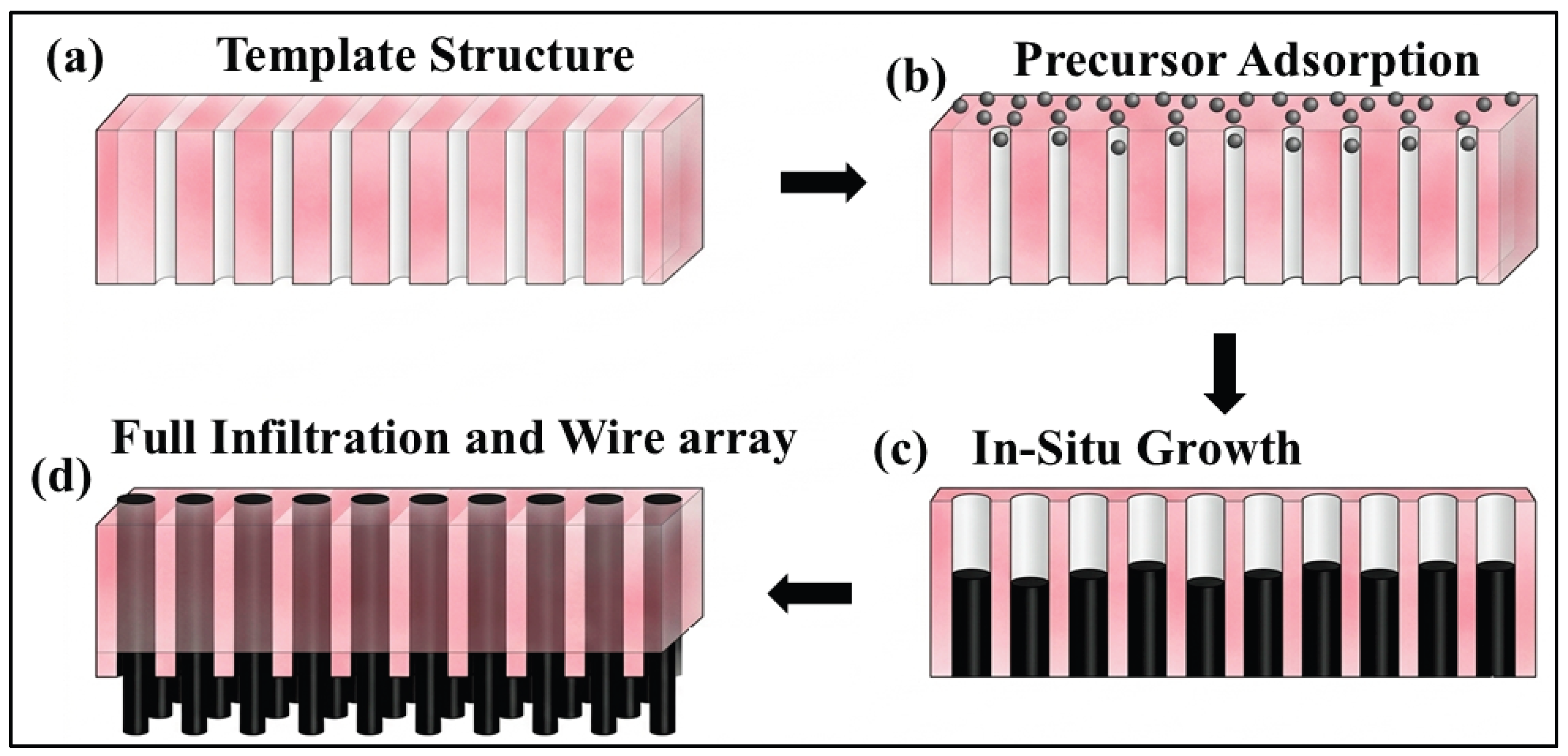 Preprints 212645 g003