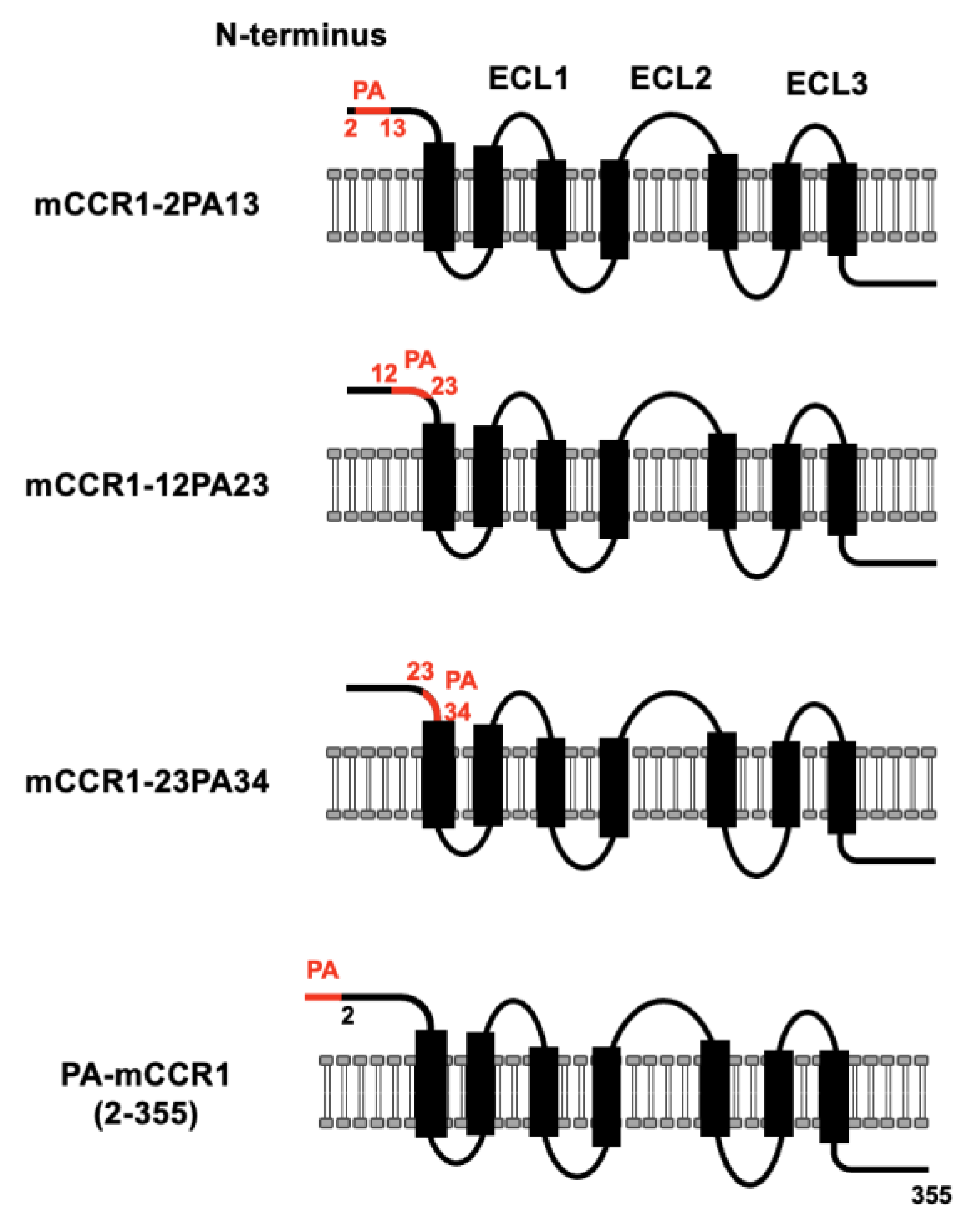 Preprints 206832 g003 Preprints 206832 g003