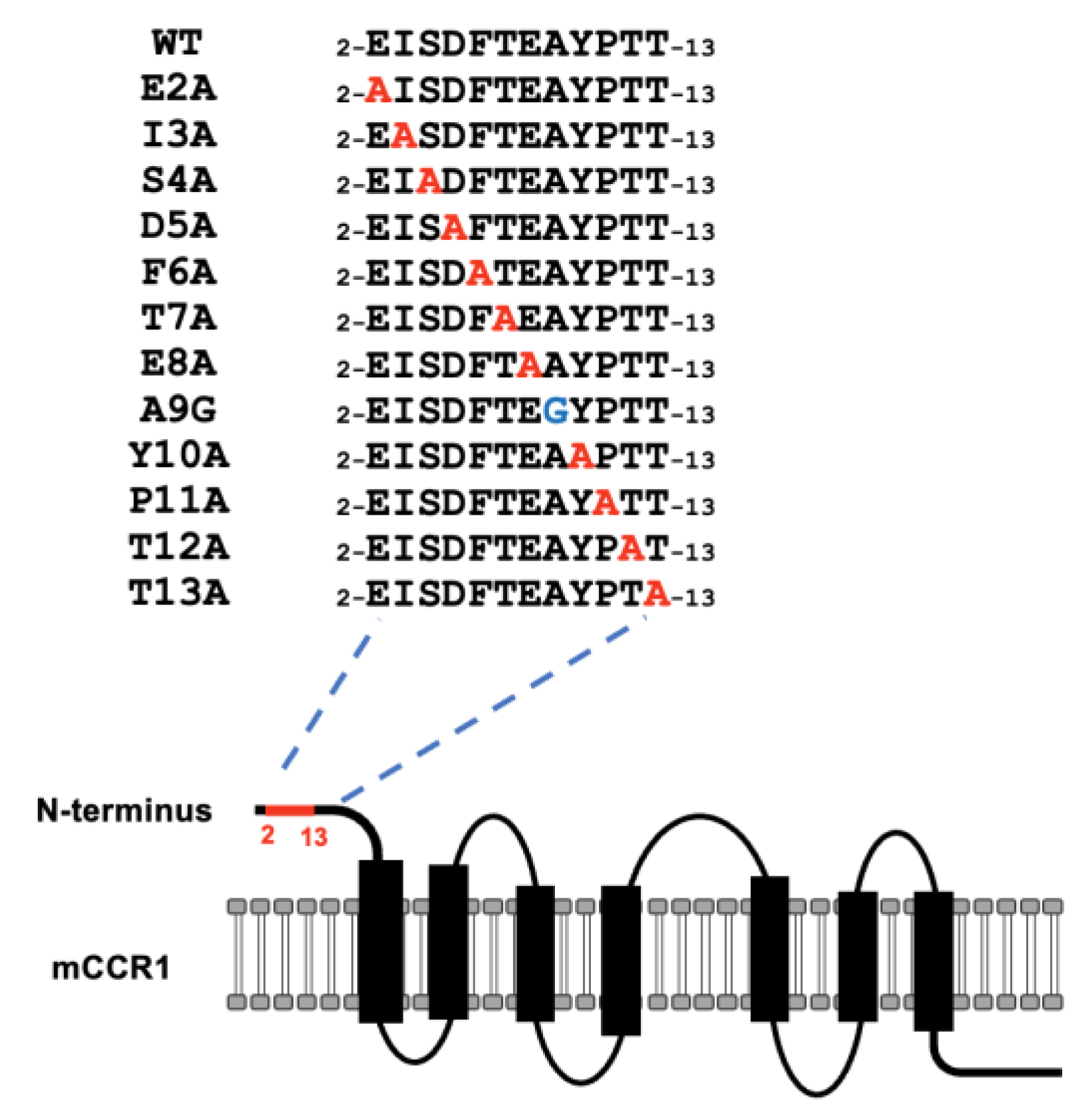 Preprints 206832 g005 Preprints 206832 g005