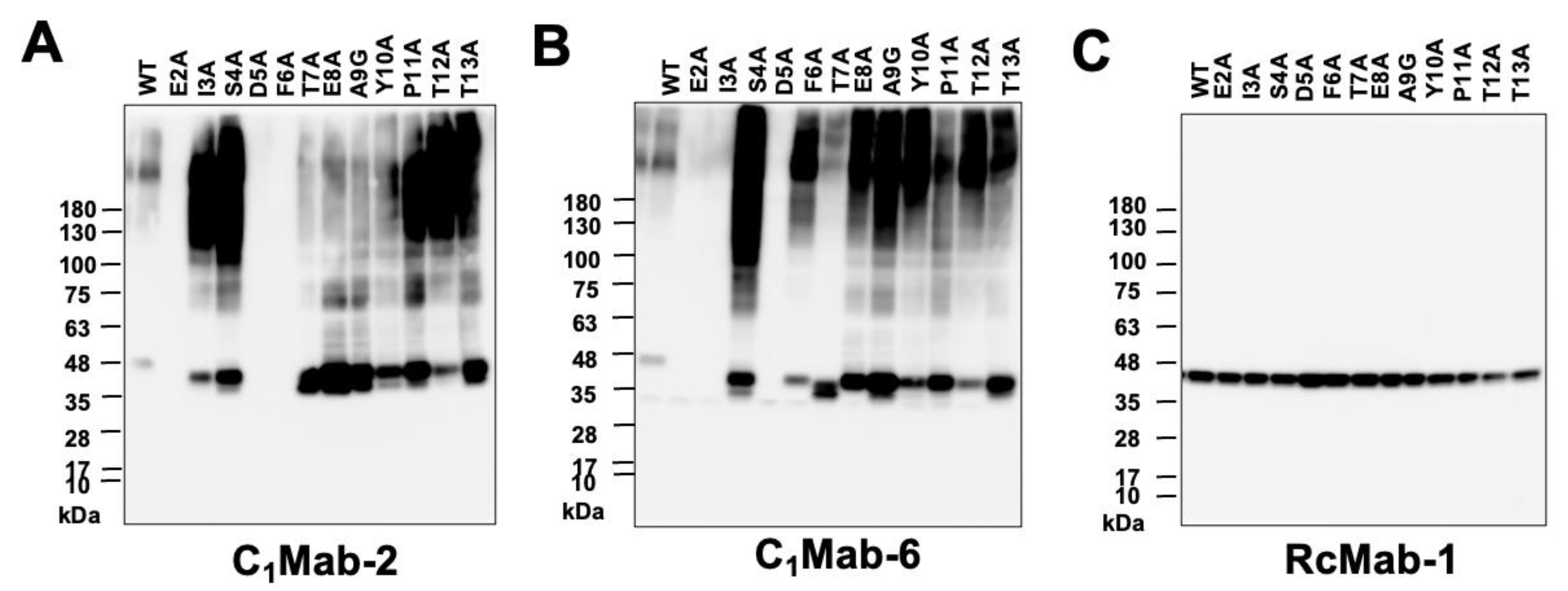 Preprints 206832 g007 Preprints 206832 g007
