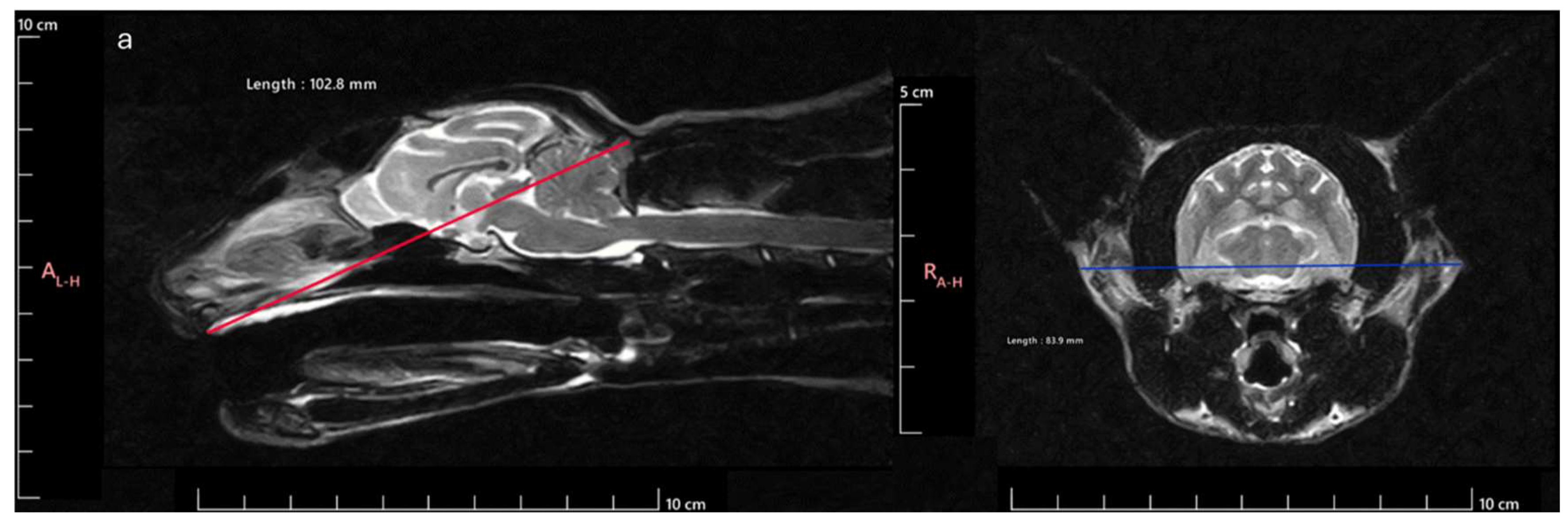 Preprints 139271 g001