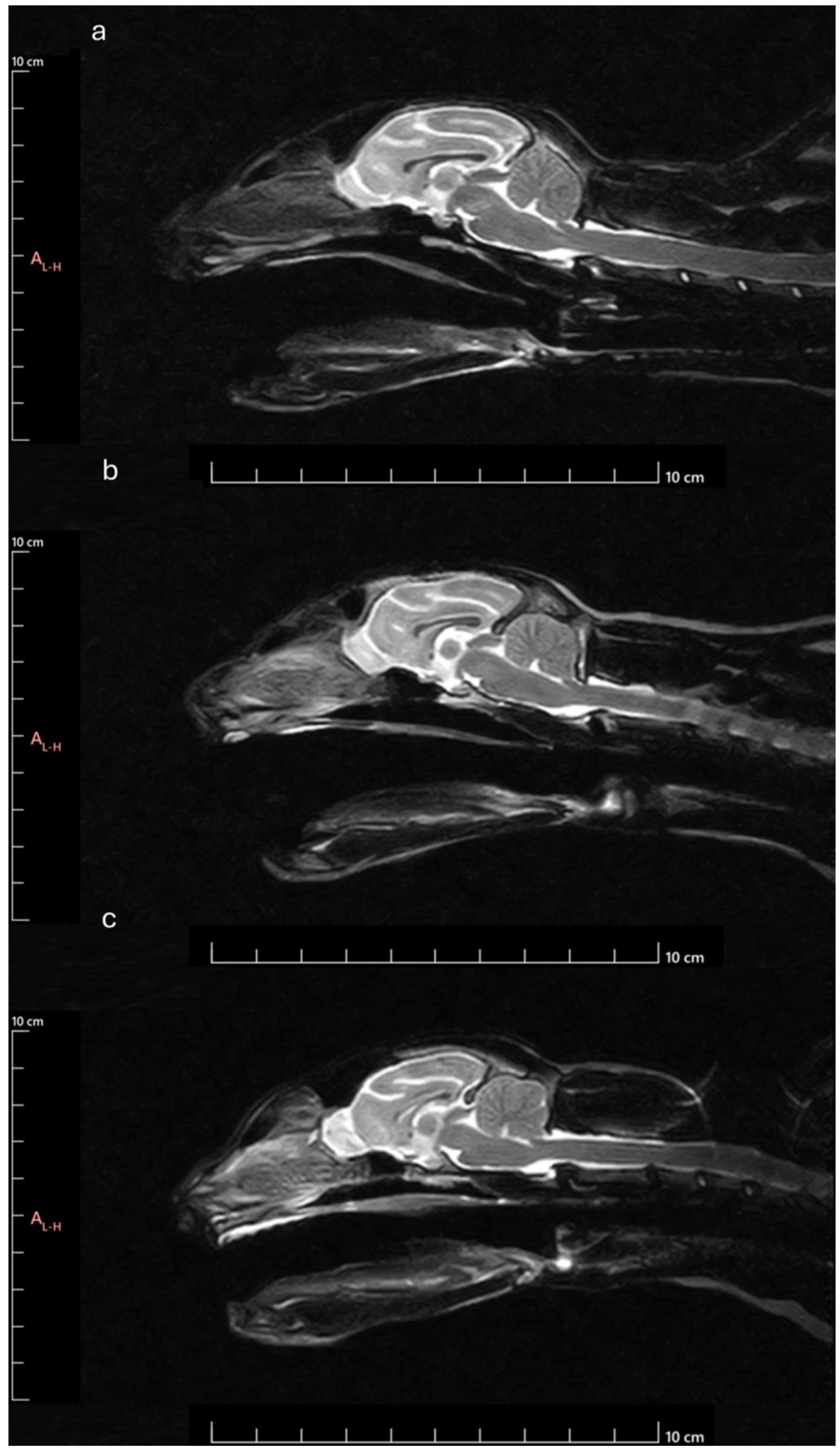Preprints 139271 g012