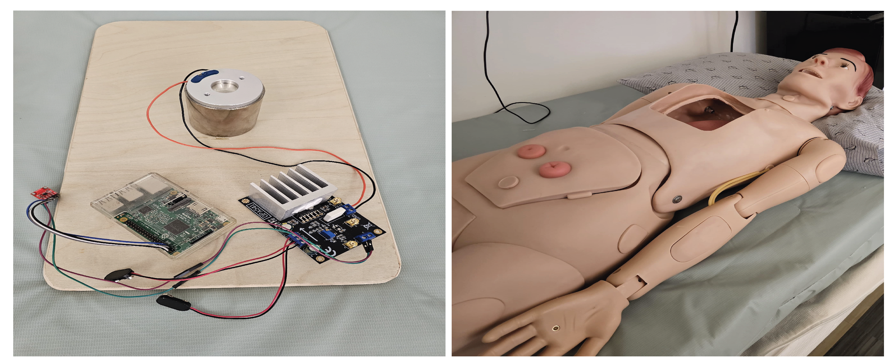 Preprints 193729 g001