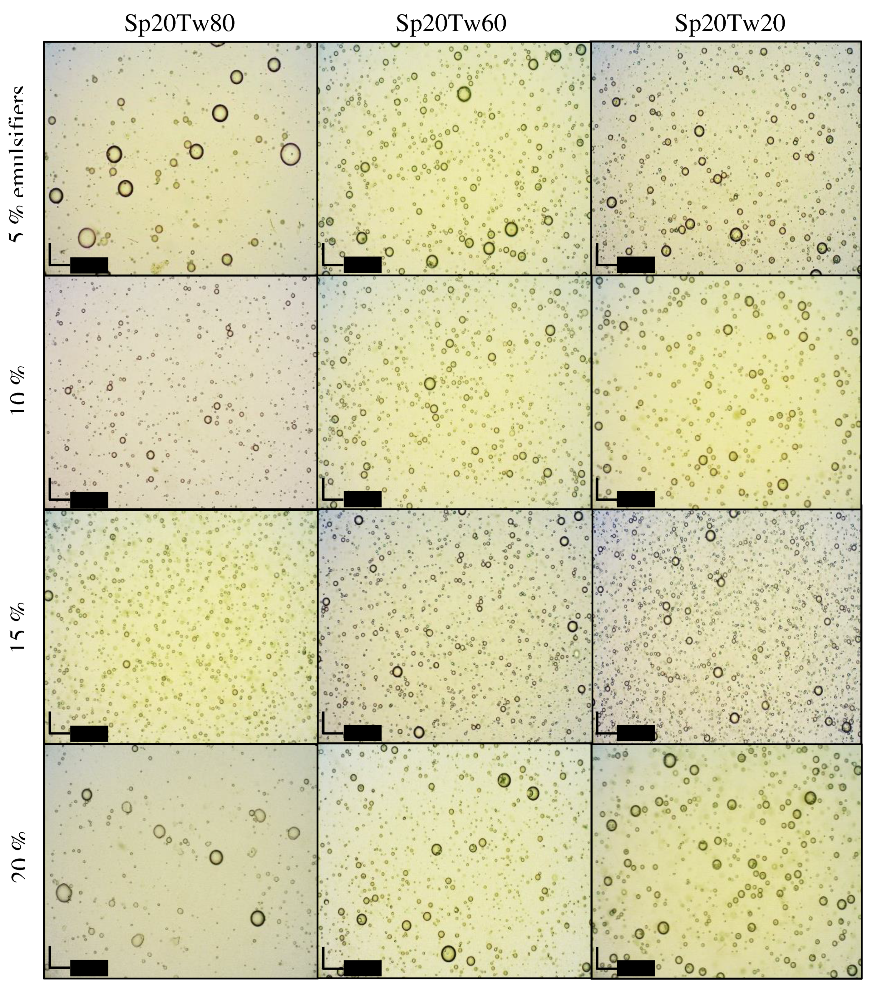 Preprints 94717 g006