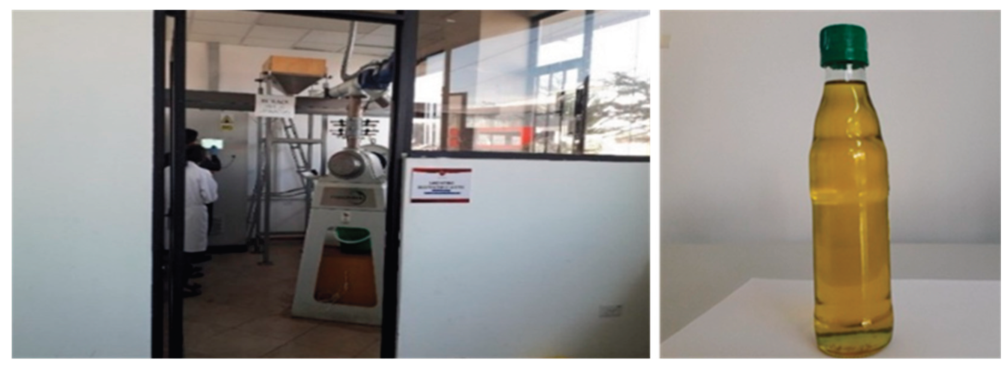 Preprints 182664 g001