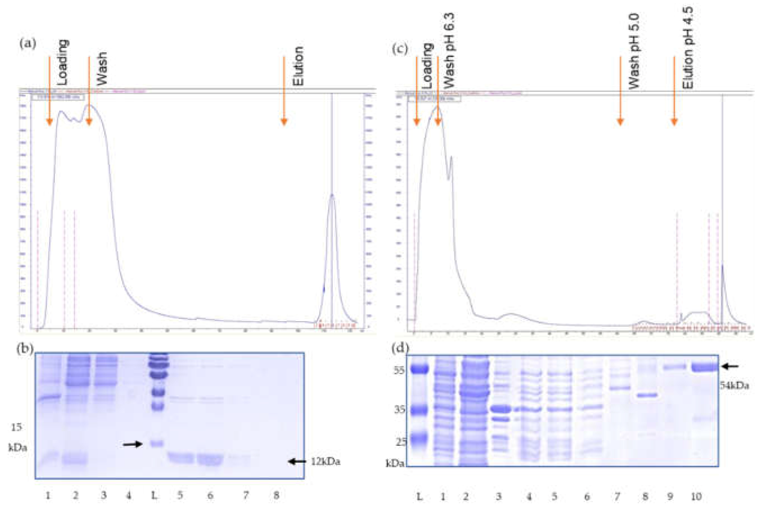 Preprints 177739 g002
