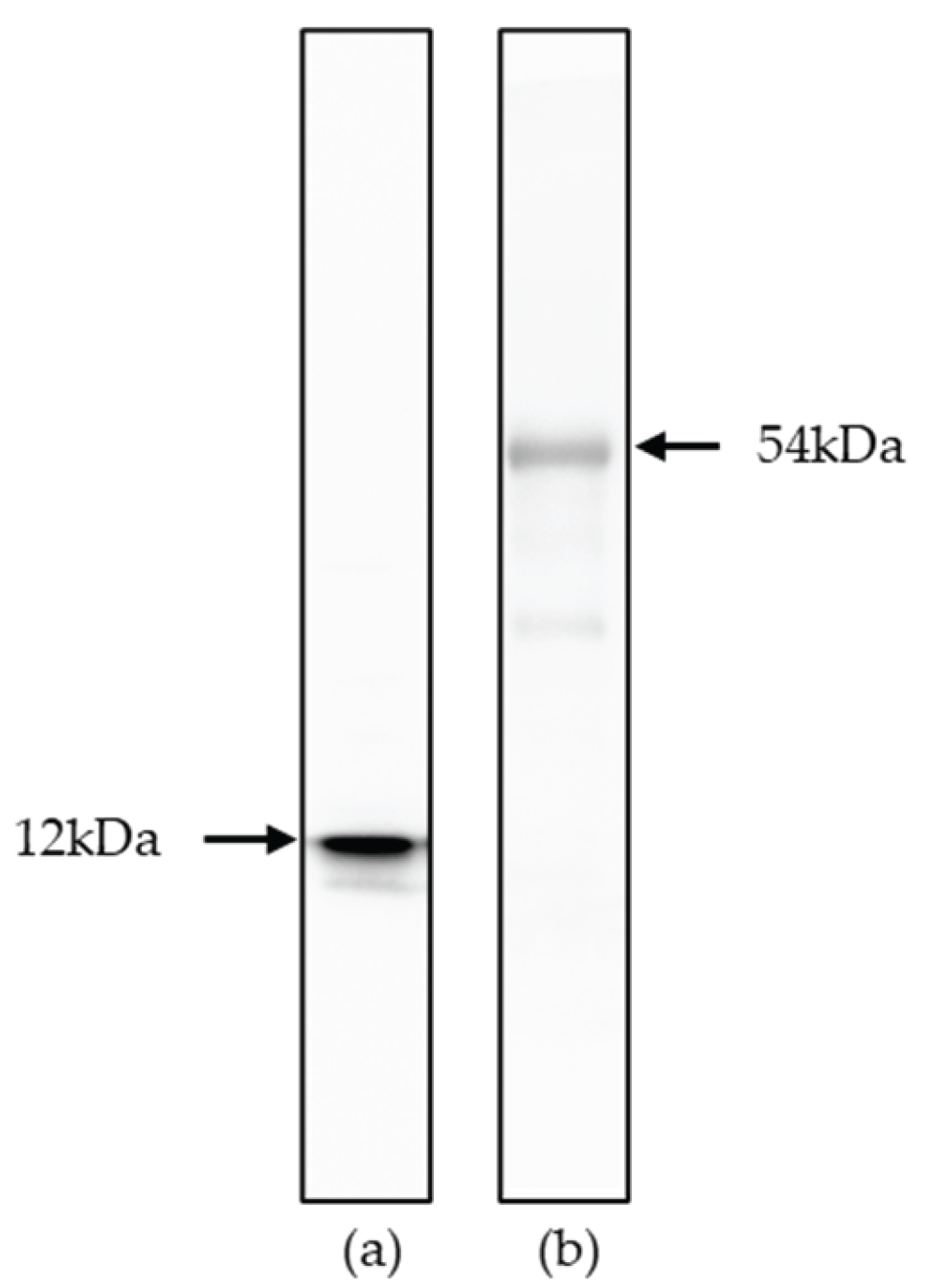 Preprints 177739 g003
