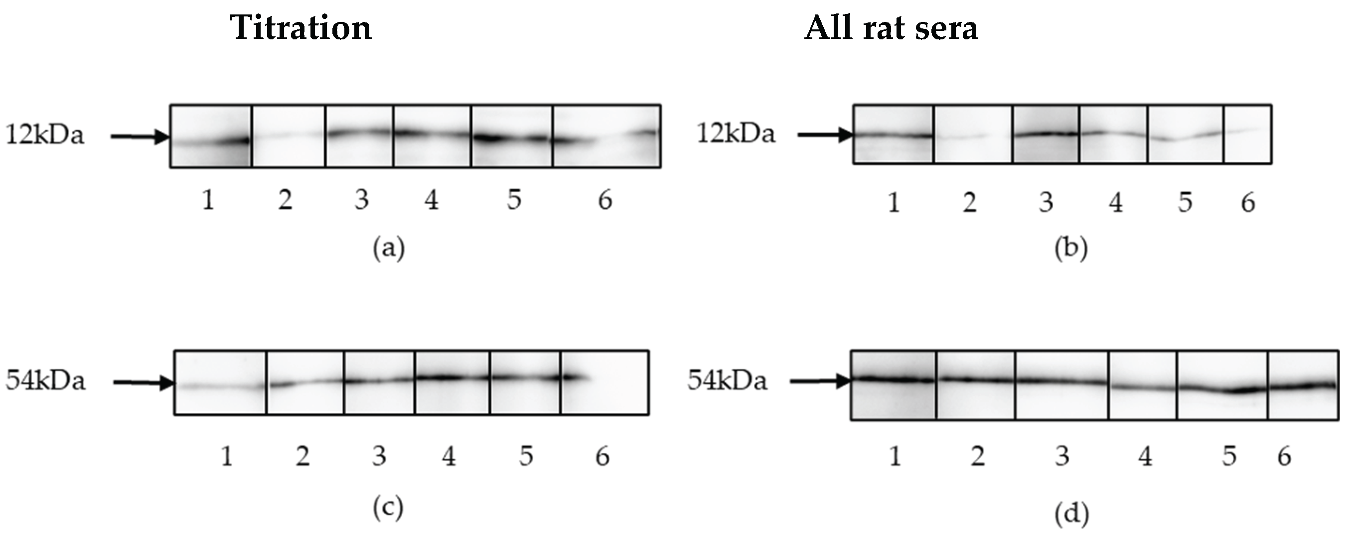 Preprints 177739 g005