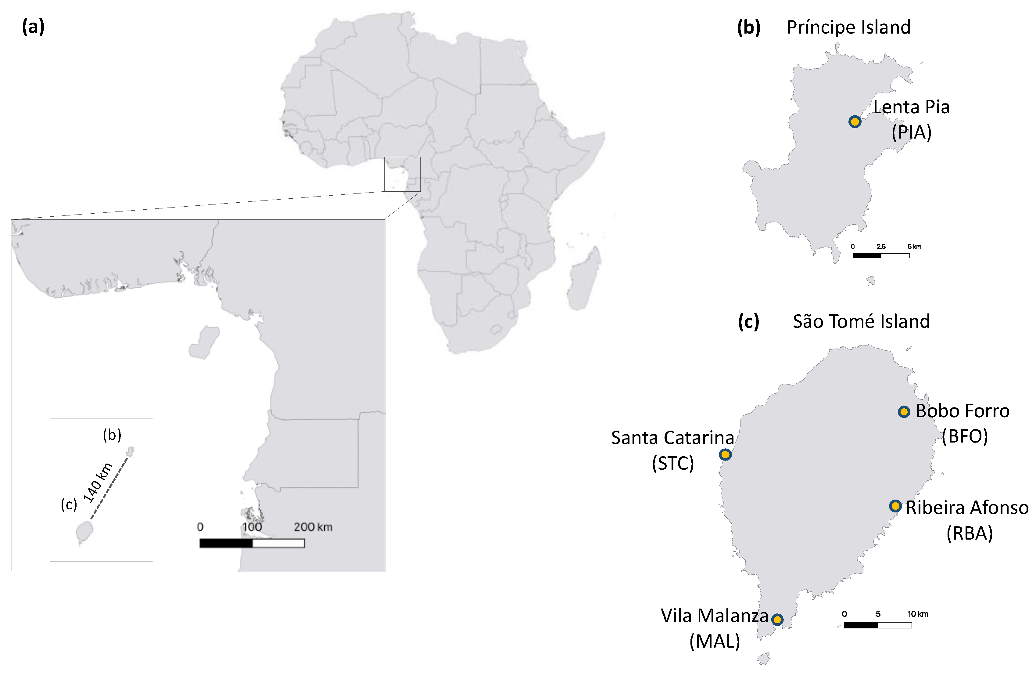 Preprints 165954 g001