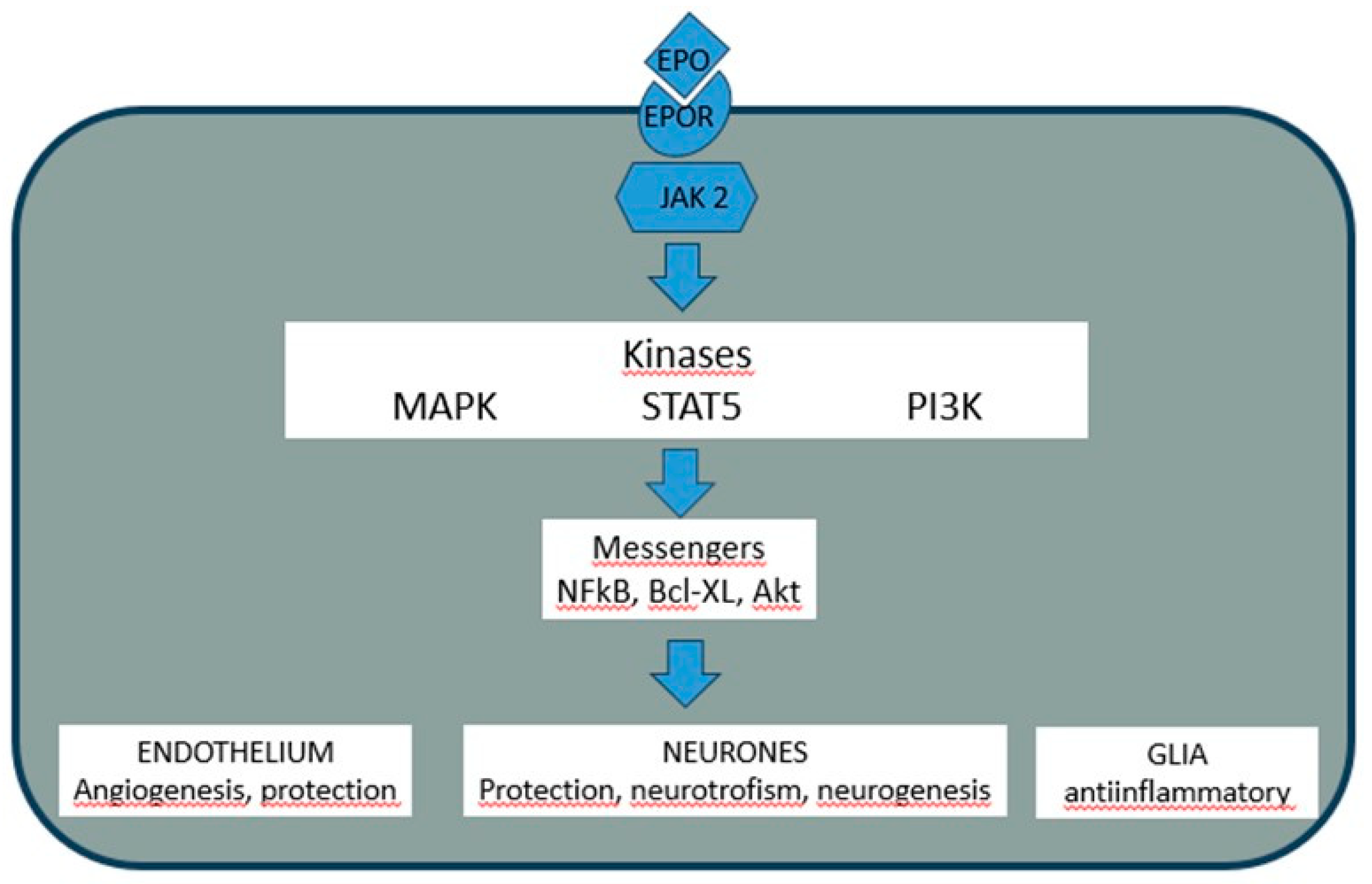 Preprints 190982 g002