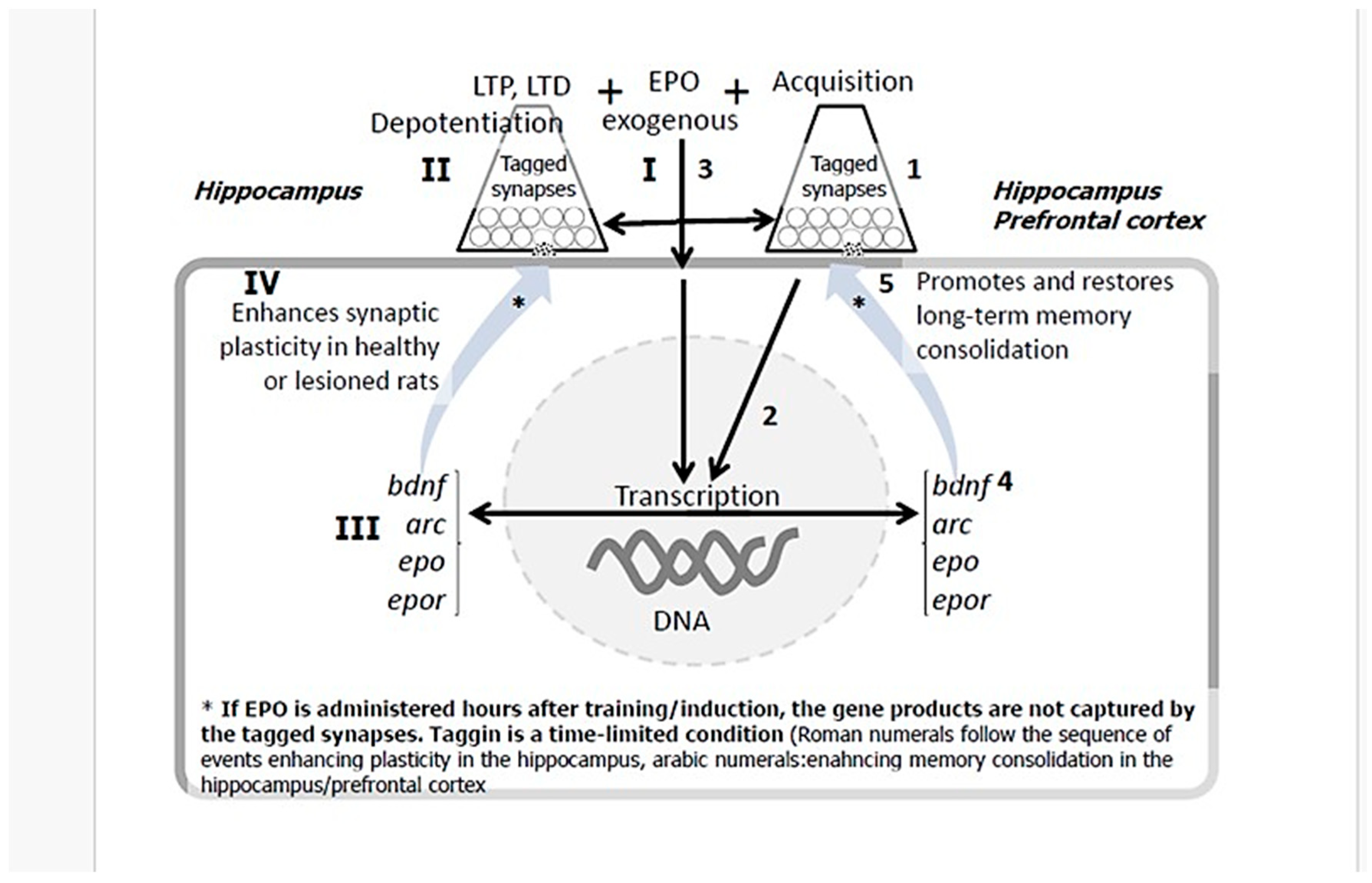 Preprints 190982 g003