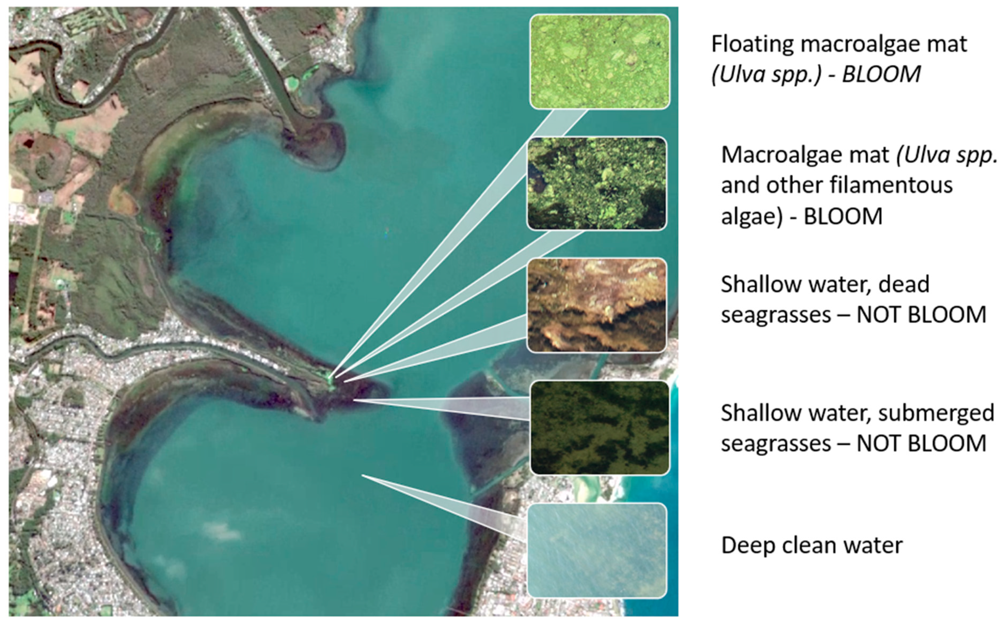 Preprints 155444 g003