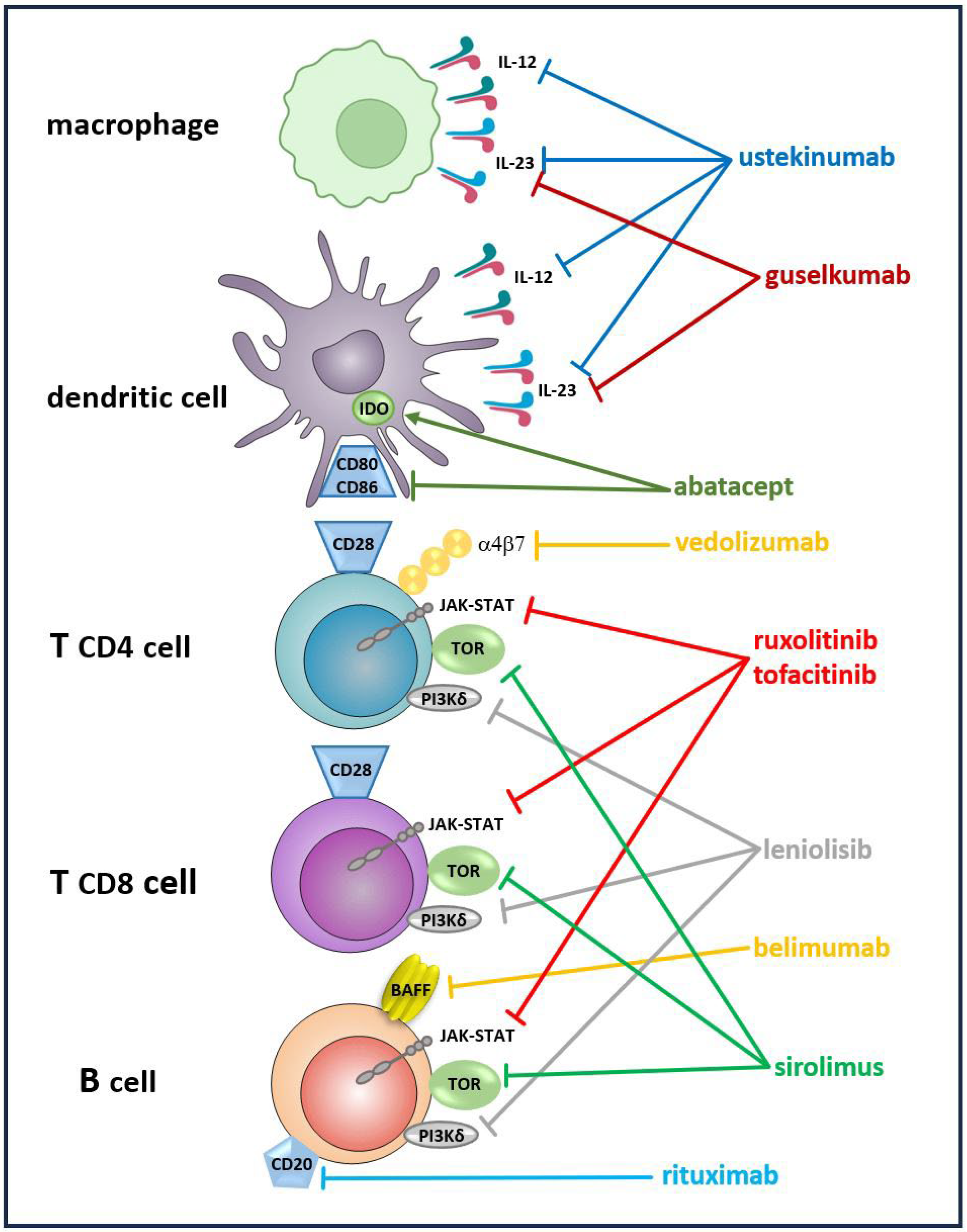 Preprints 146378 g001