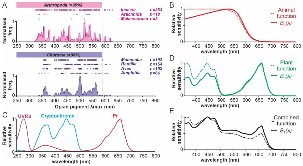 Preprints 208968 g002