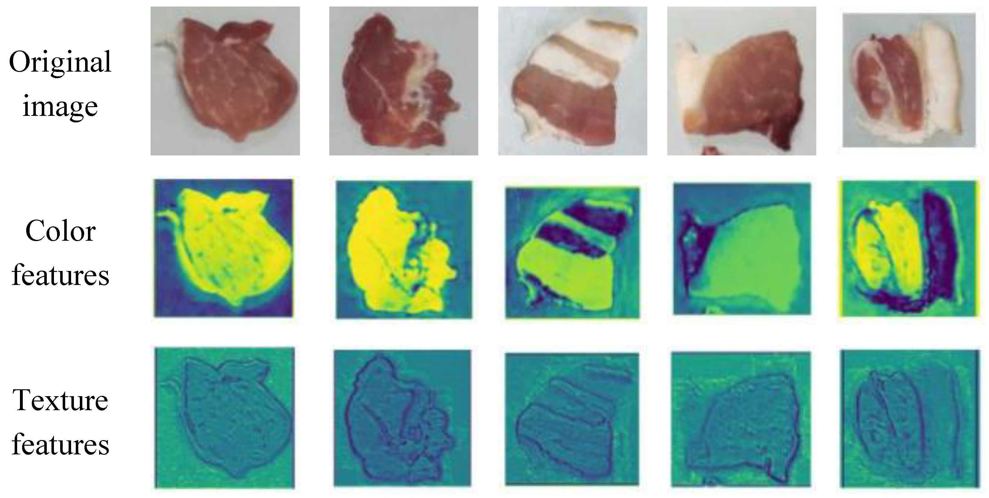 Preprints 162527 g006